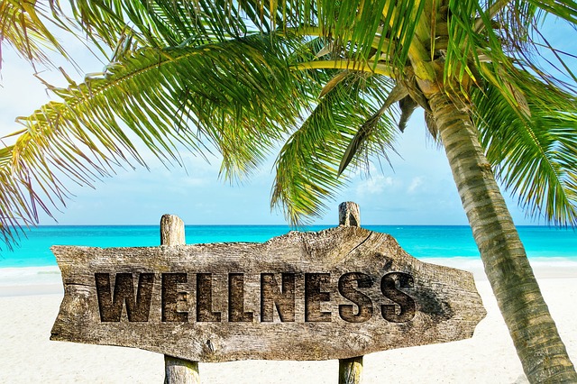 wellness-3330688_640 (1).jpg
