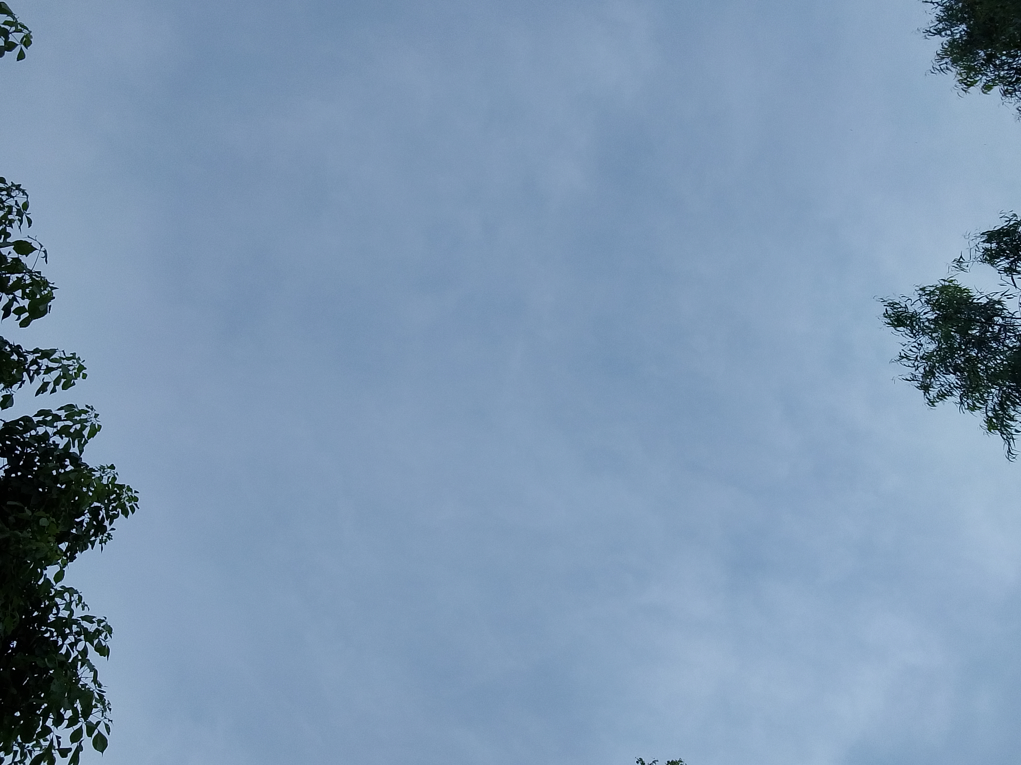 1000015581.jpg