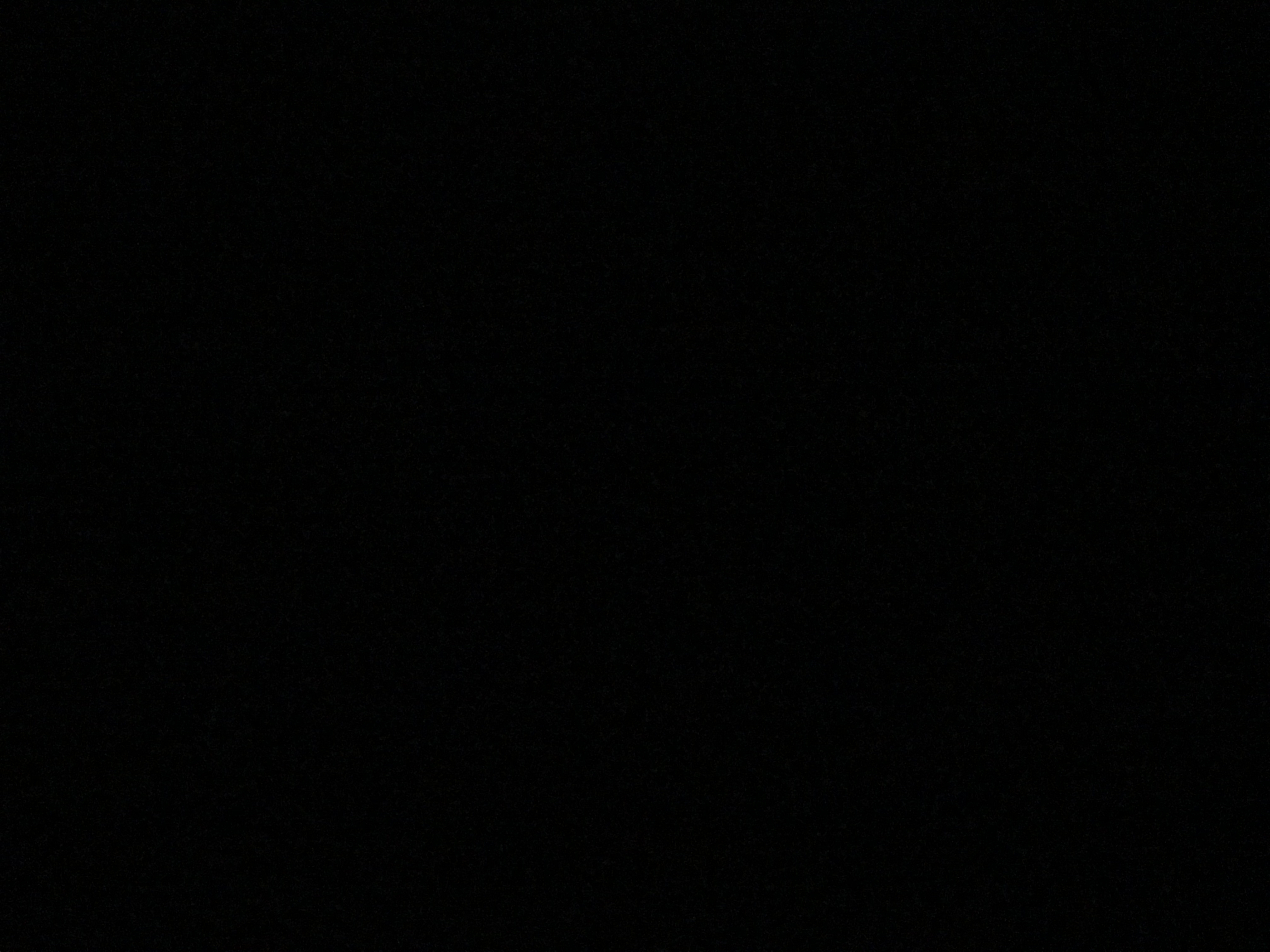 1CDFE4F6-ED03-4632-A51A-78FD74A847D1.jpeg