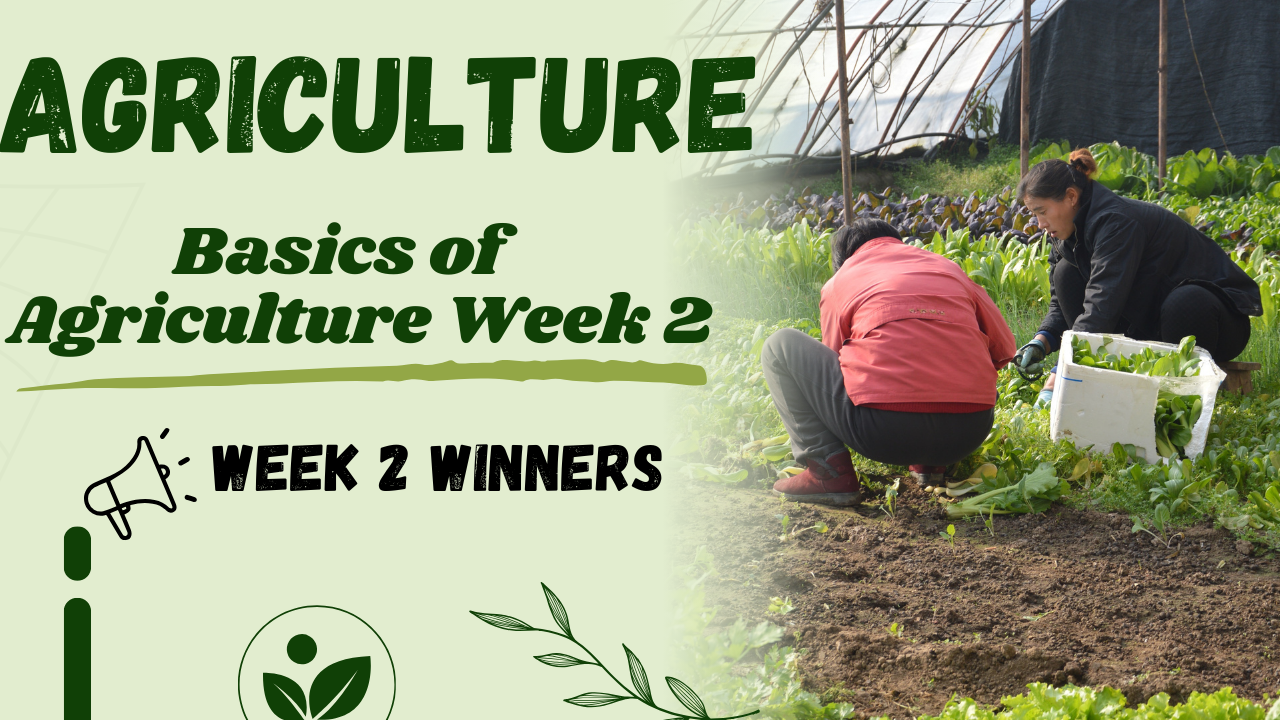 Basics of Agriculture.png