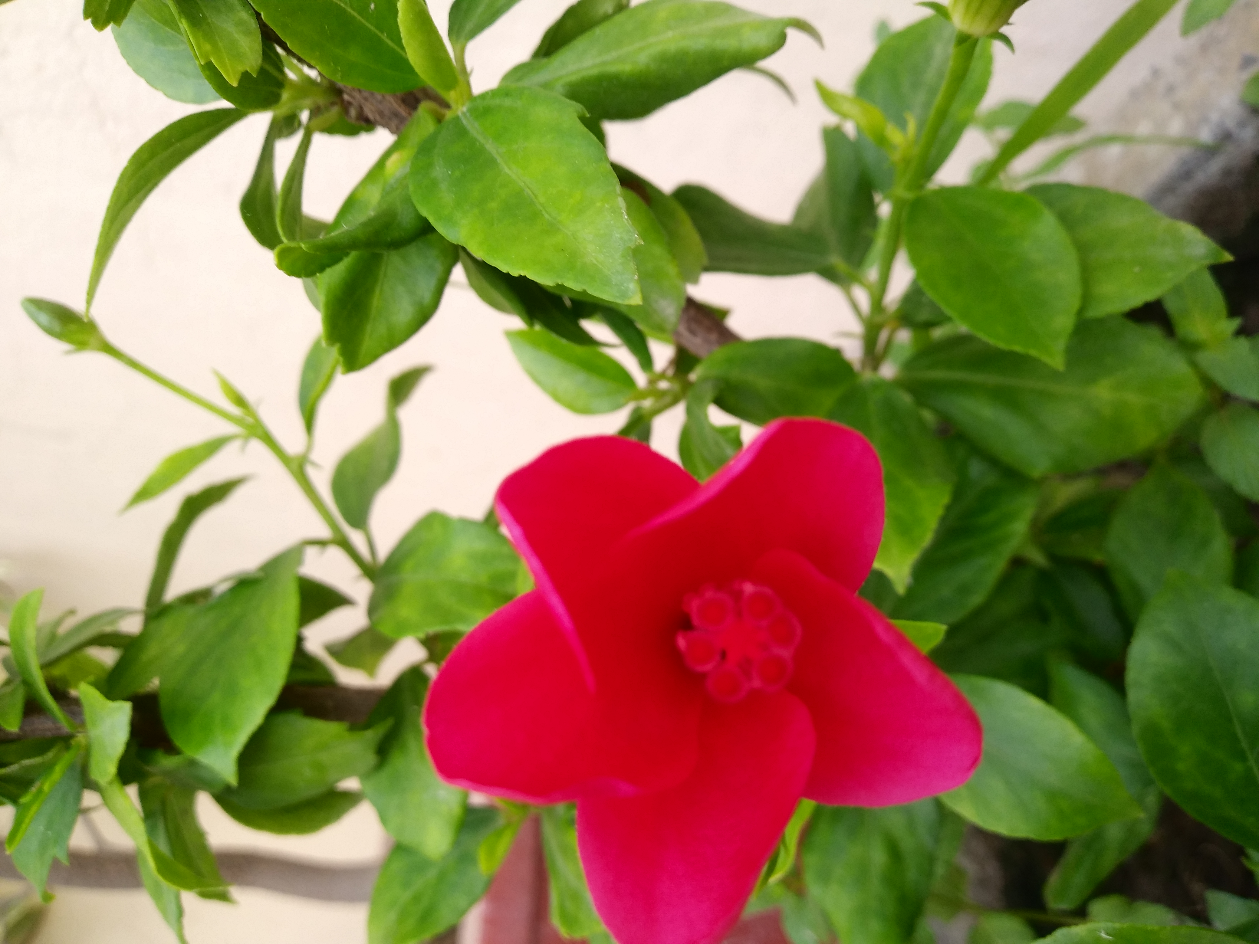 20190813_064234.jpg