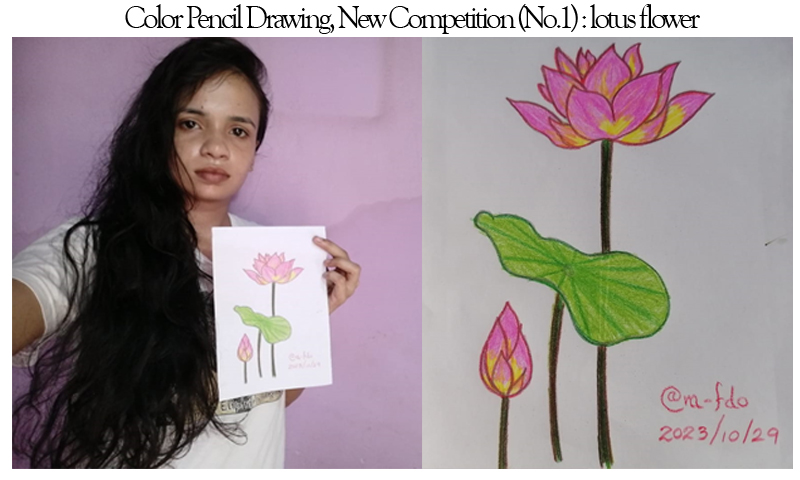 Lotus painting | Art drawings for kids, Lotus flower art, Oil pastel art |  花, 筆