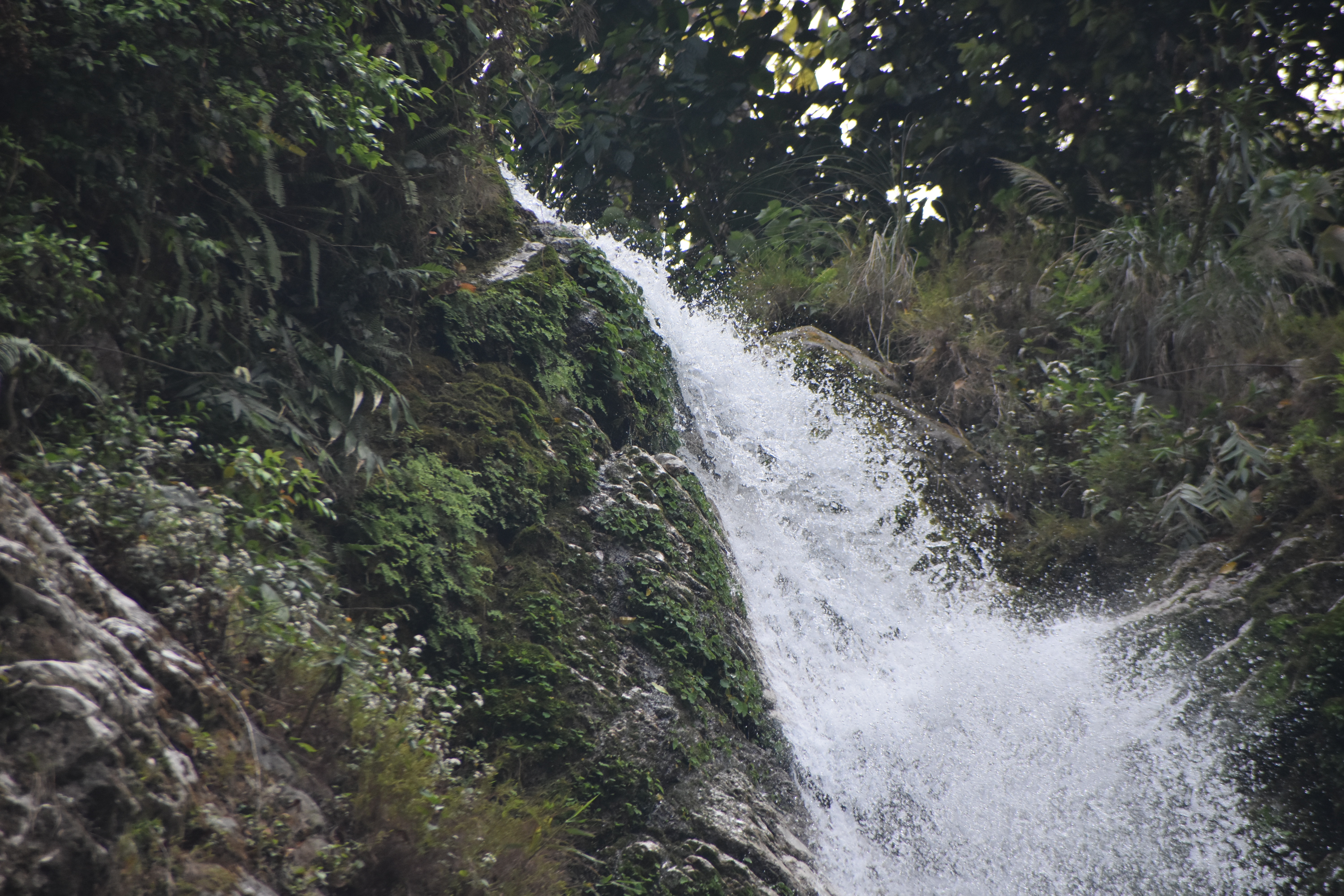 DSC_0175.JPG