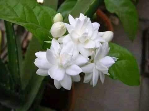 IMG-20221220-WA0000.jpg