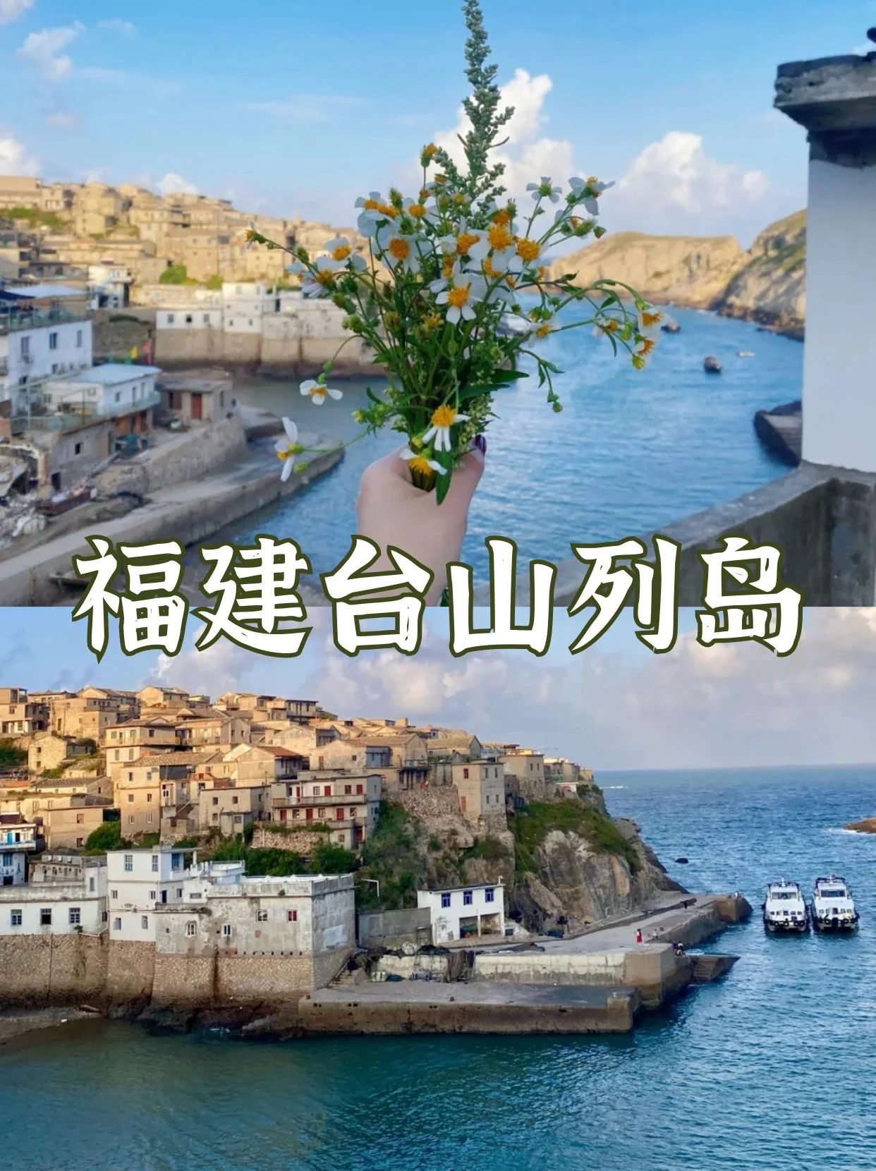 13357185919144606.webp
