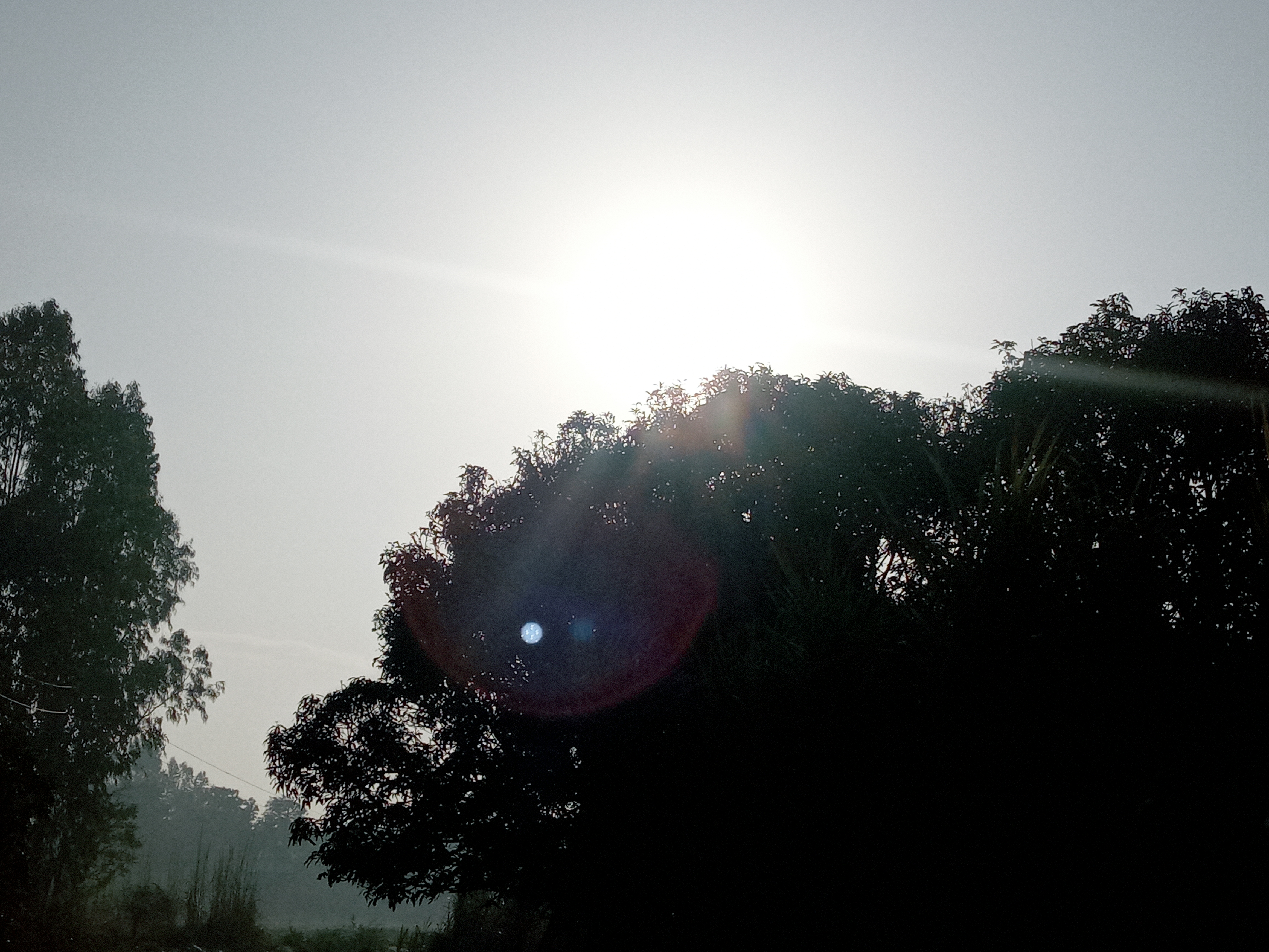 20220301_080301_HDR.jpg