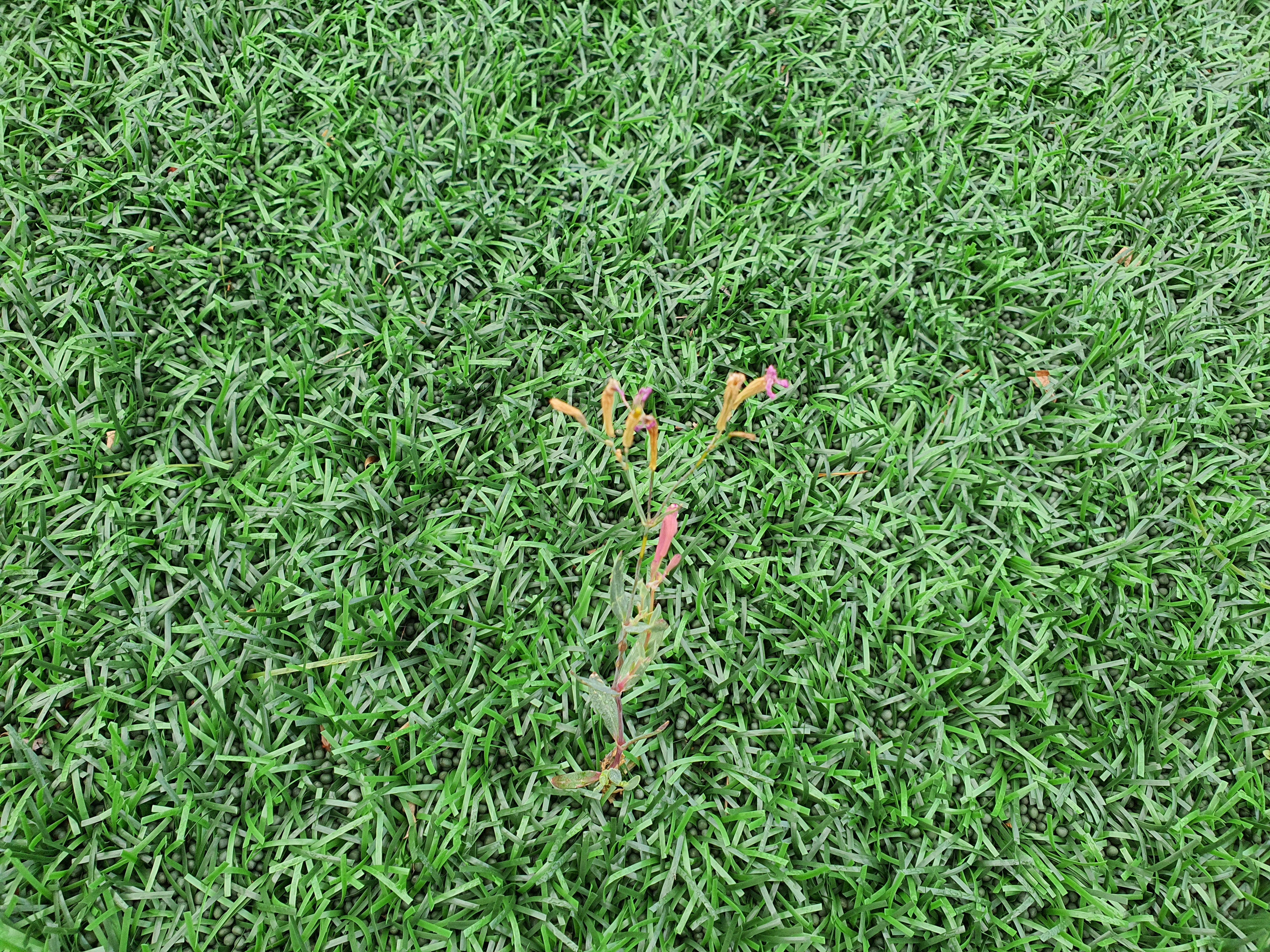 20220921_081239.jpg