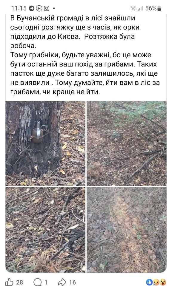 IMG_6784.jpeg