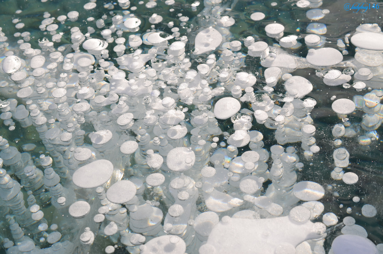 bubbles (9).jpg