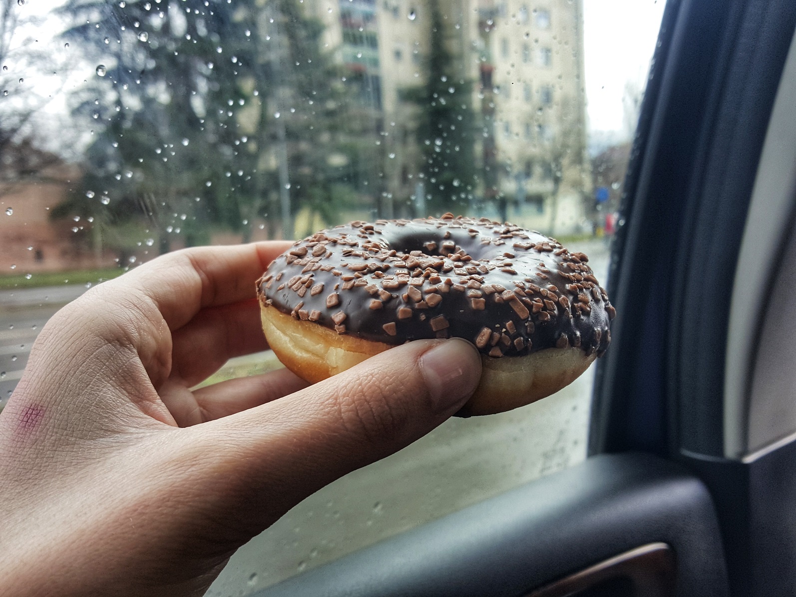 20200211_110413-01.jpeg
