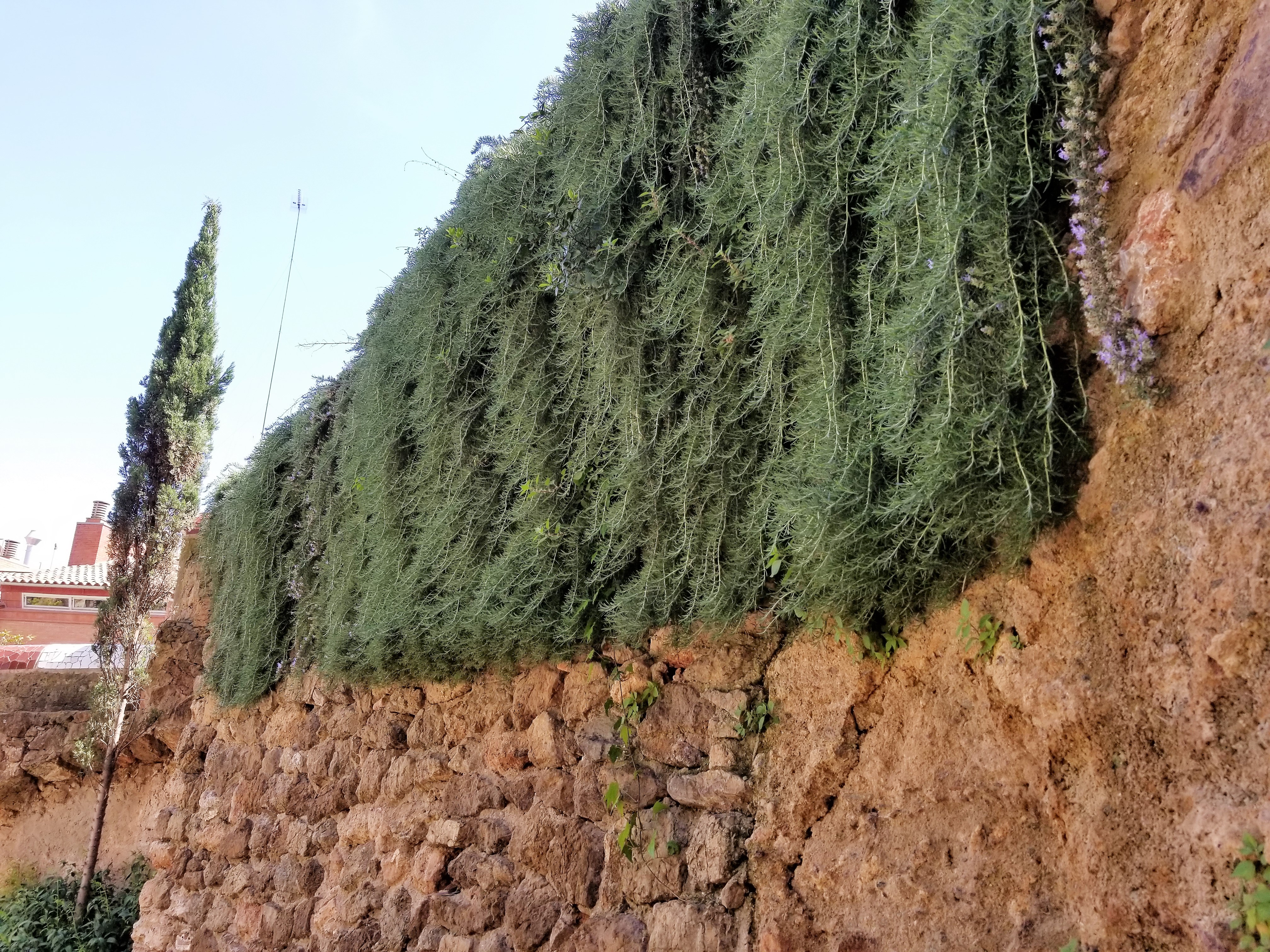 20180415_145143 (2).jpg