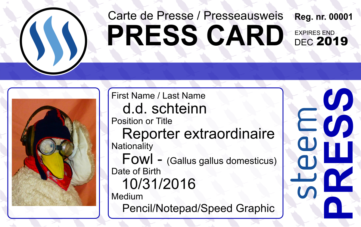 PressCard_dds_steem.png