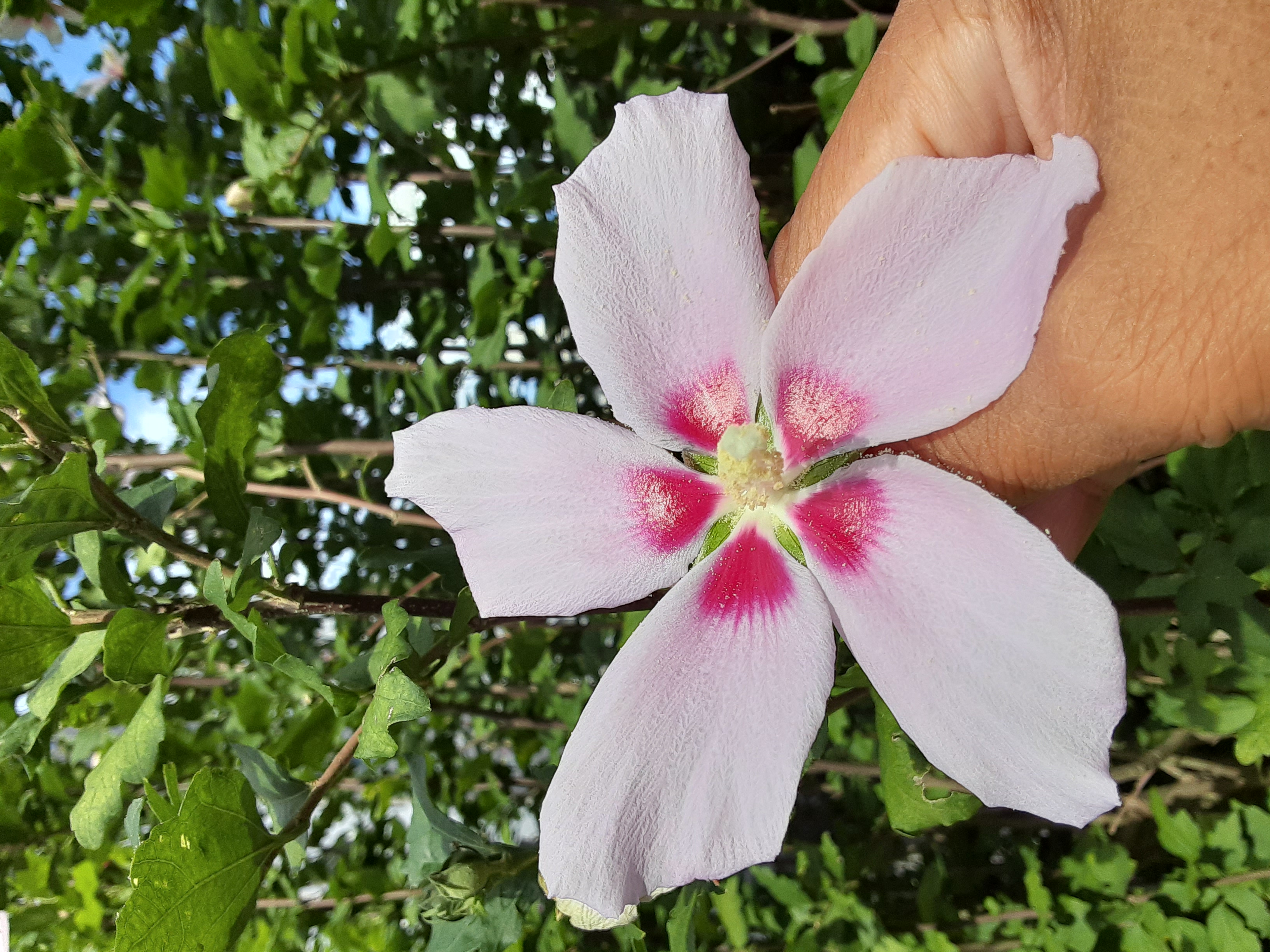 20220811_080239.jpg