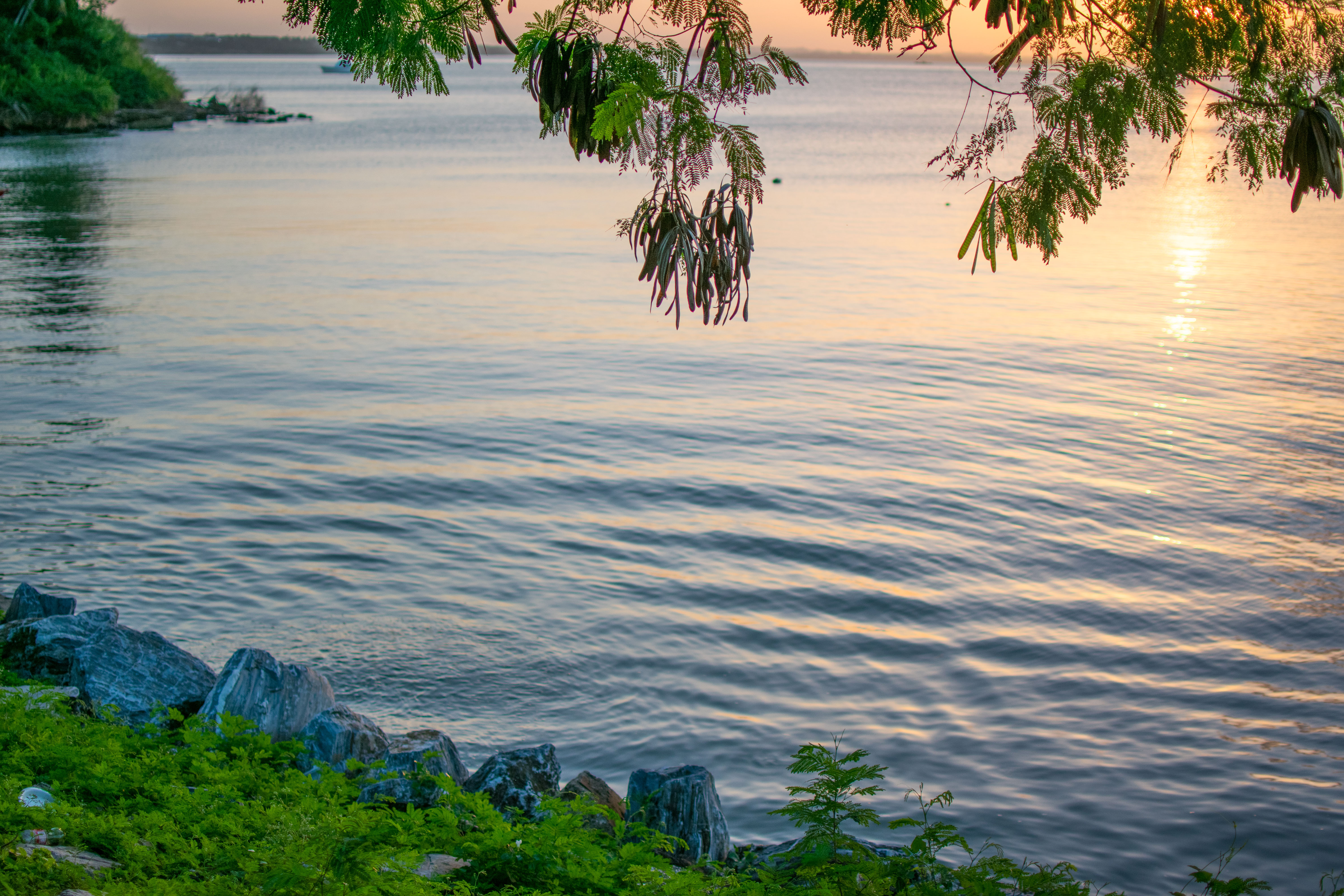 DSC_0189.jpg