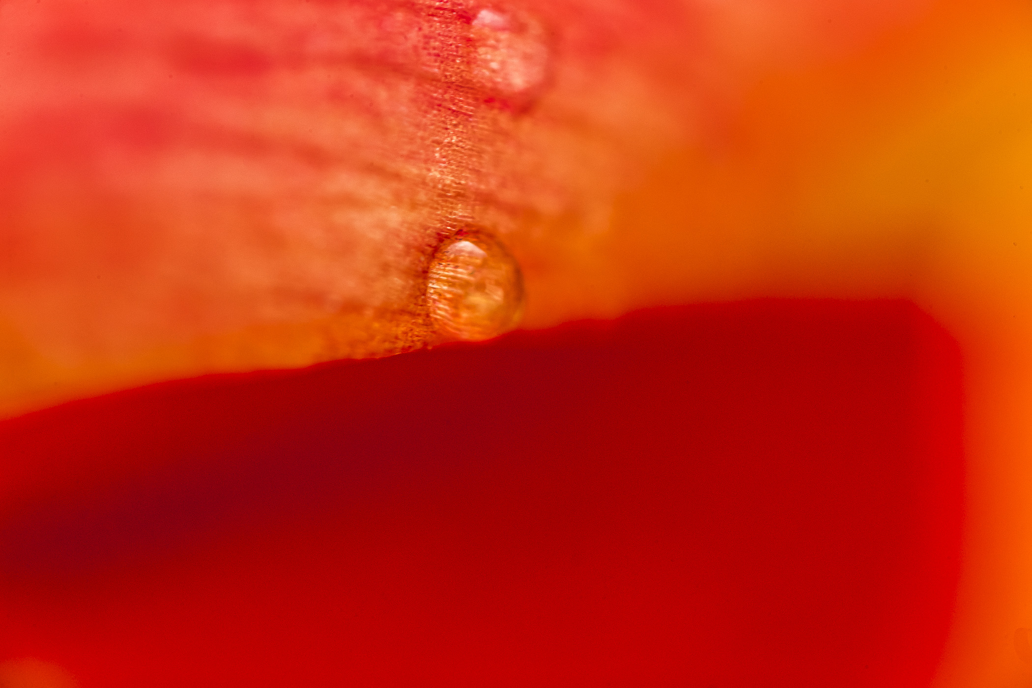 2021_04_16_425159.jpg
