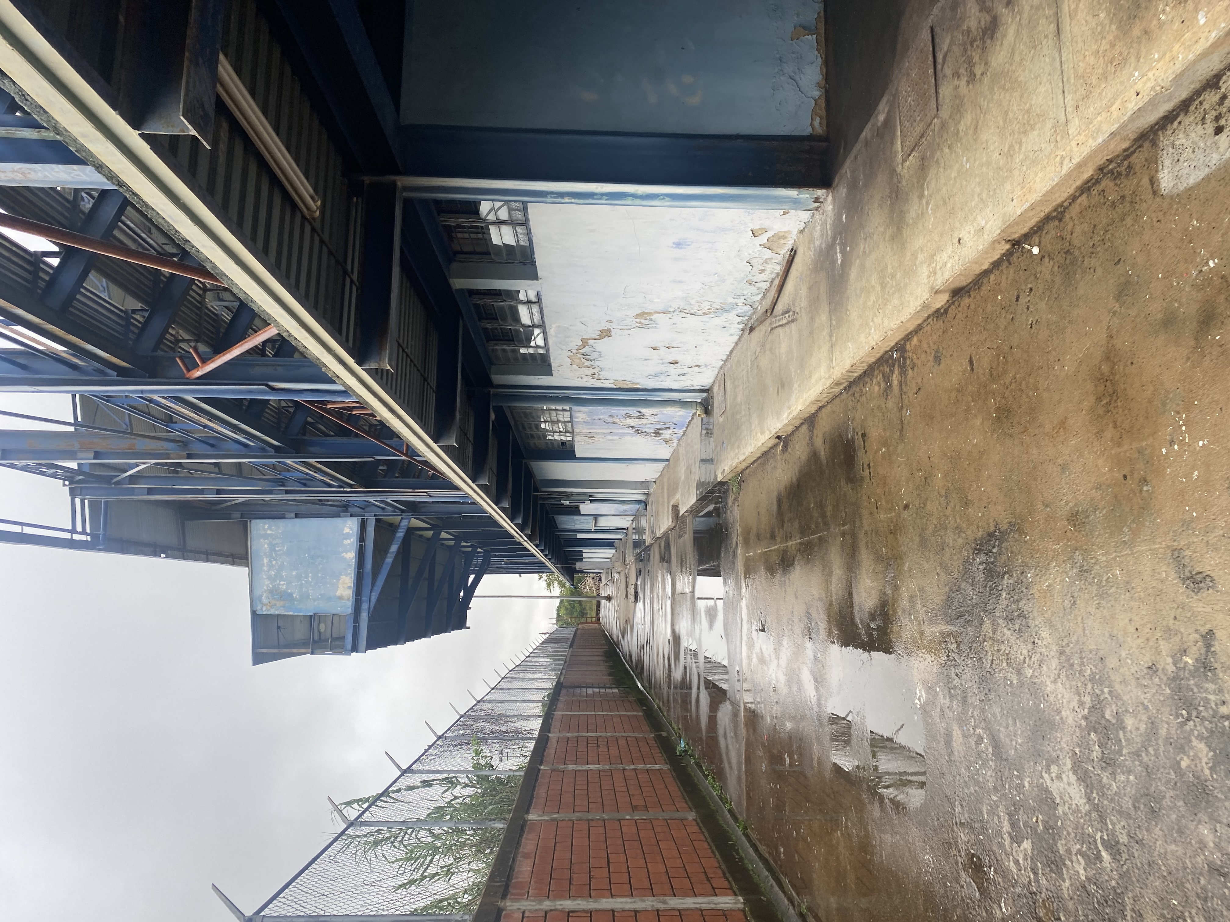 A1DE7DC0-8C4F-4183-B0A6-07582915E5AE.jpeg