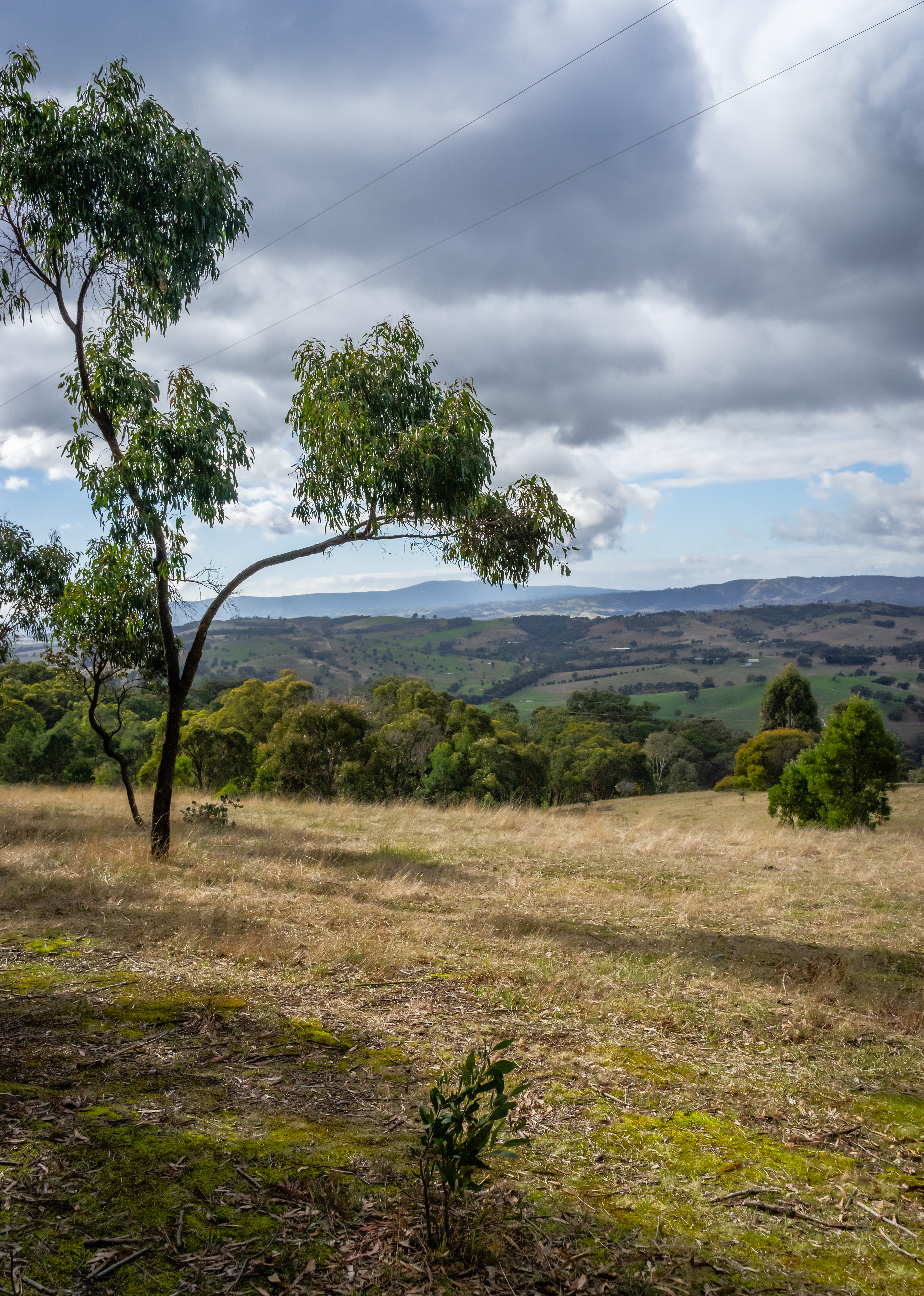 _DSC5546-Edit.jpg