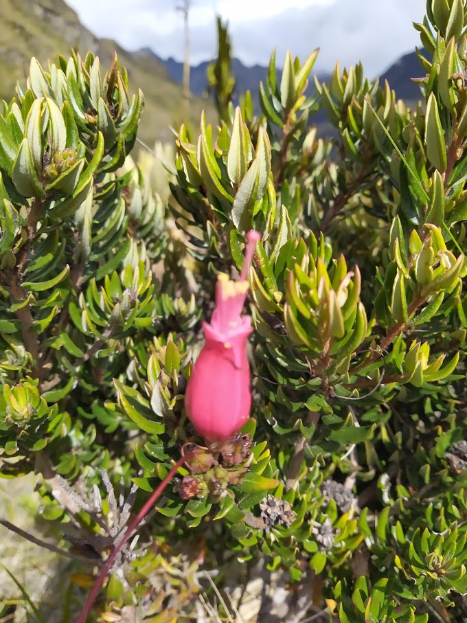 IMG_20191104_141021 (1).jpg