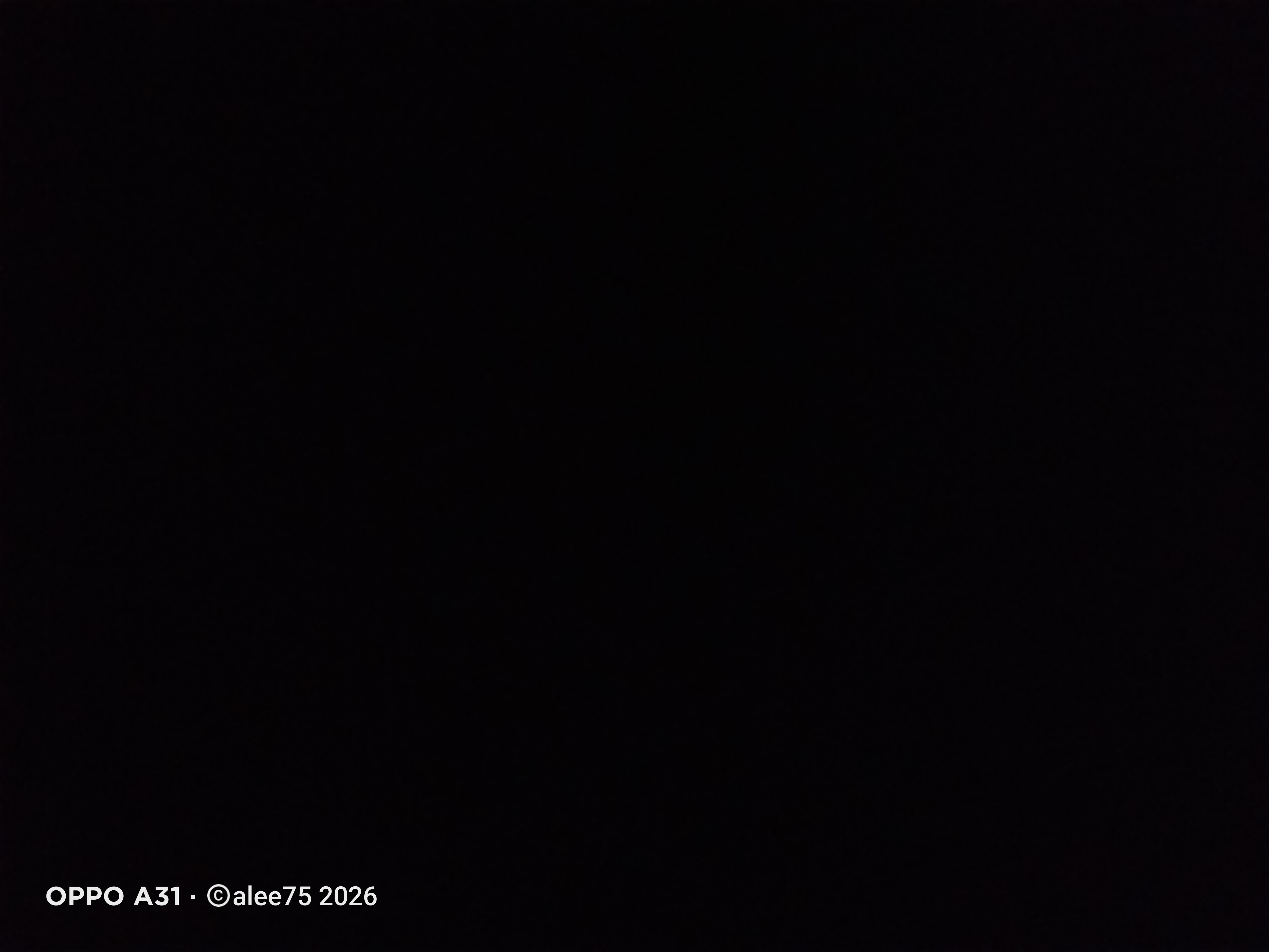 IMG20260614062238.jpg