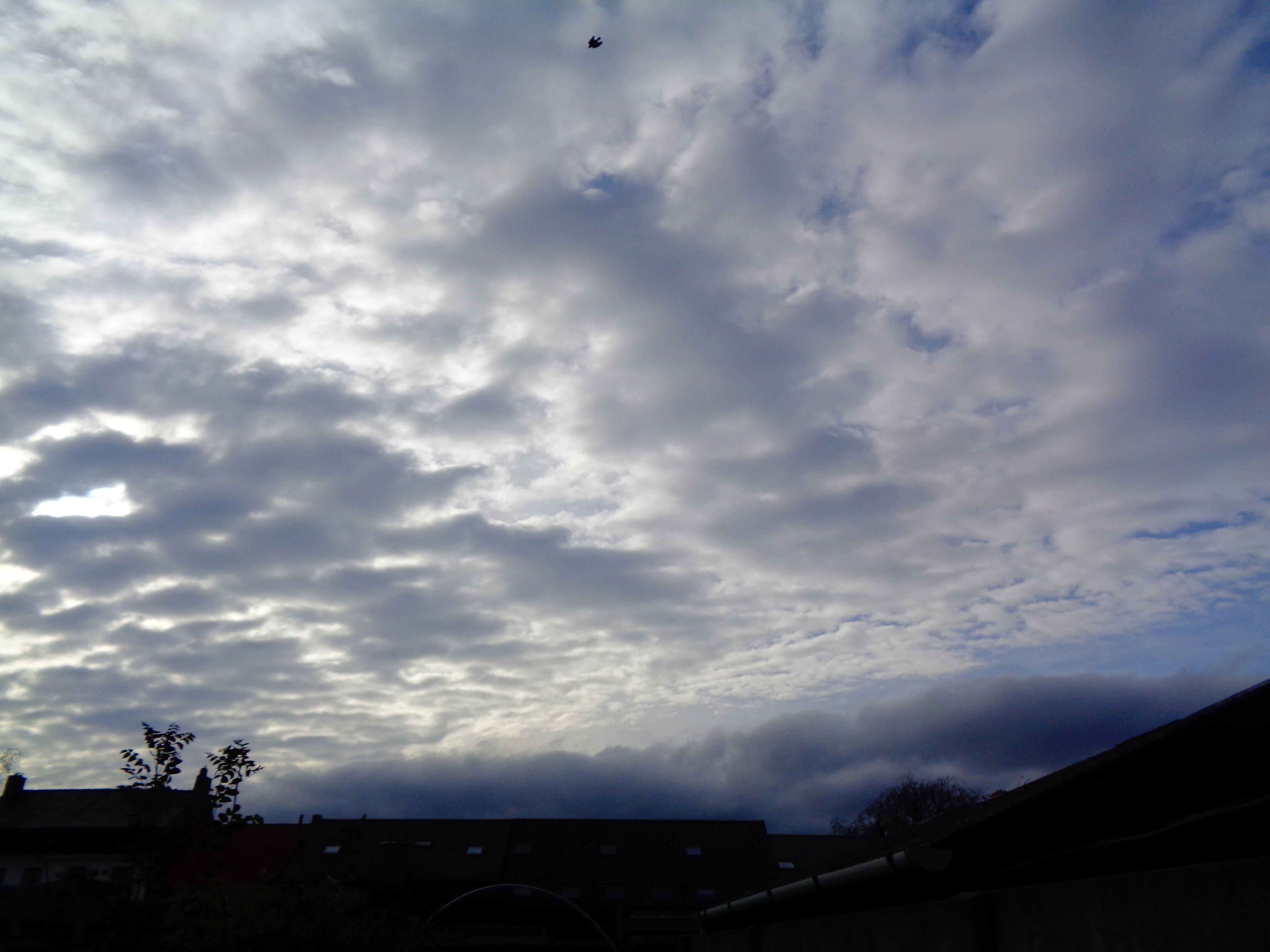 steemcloud14.JPG
