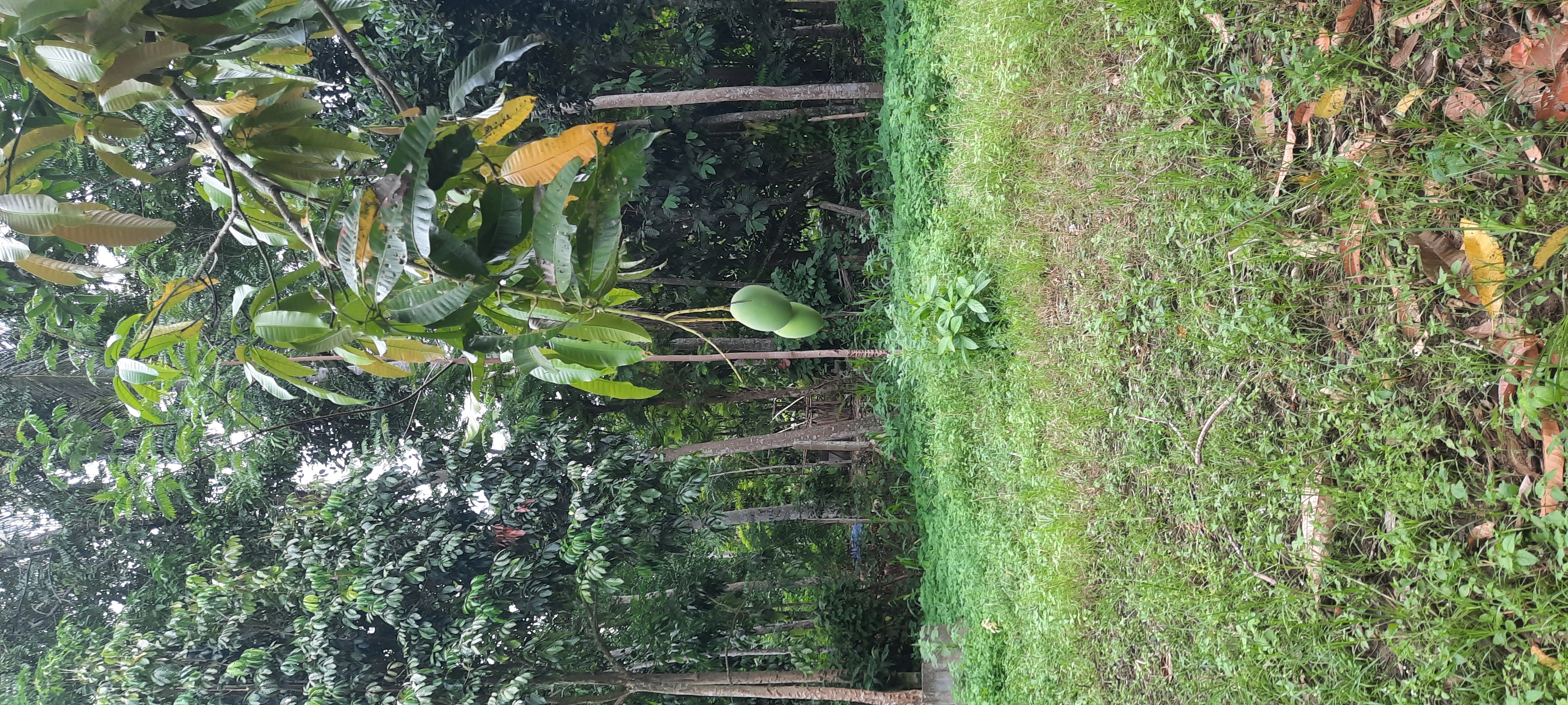 20240928_164756.jpg