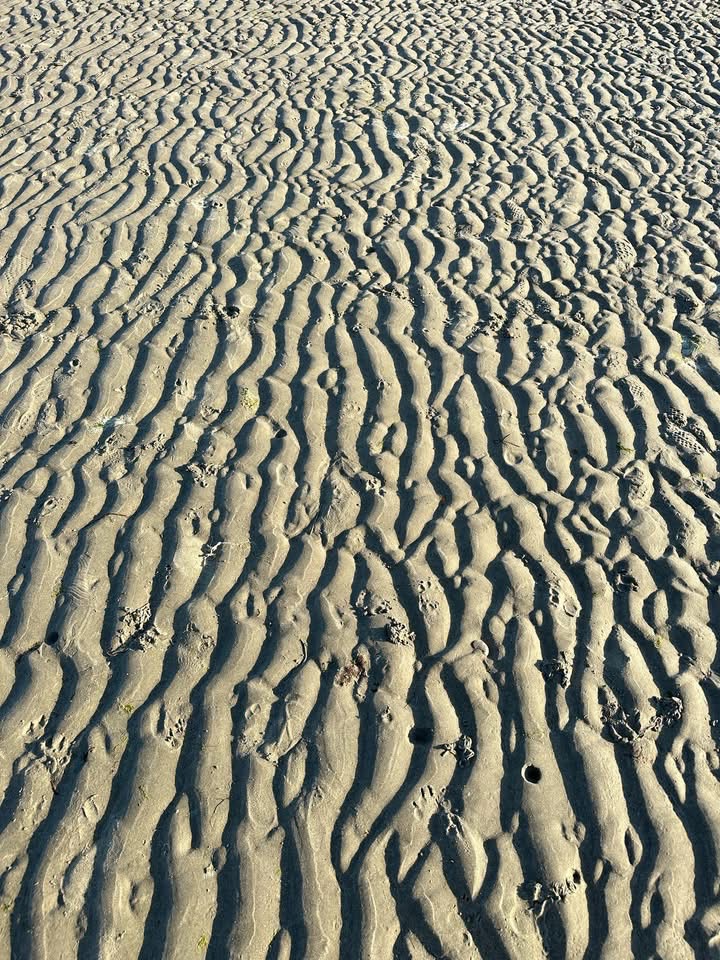 6B42F4D0-F184-410D-850C-B28A9289C5E4.jpeg
