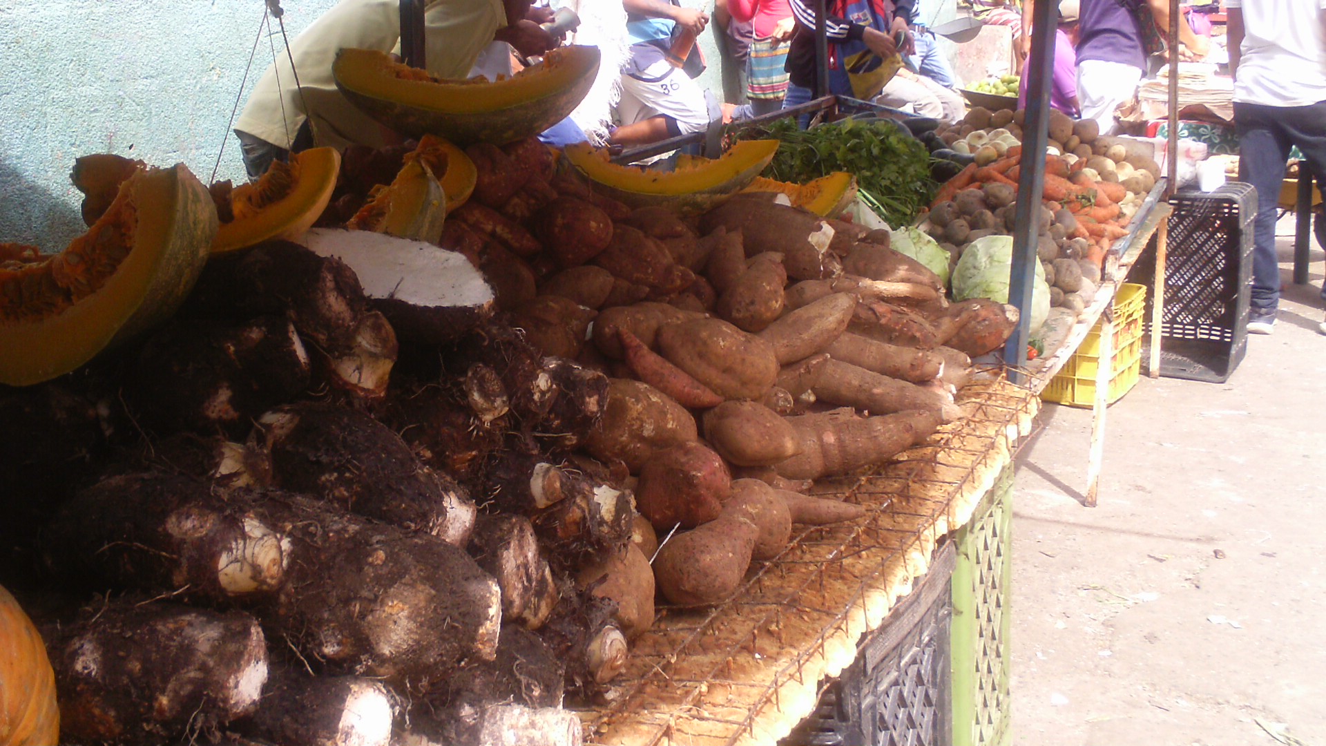 IMAG0039.JPG