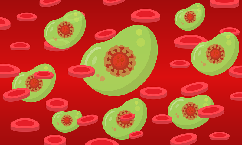 blood-6109846__480.webp