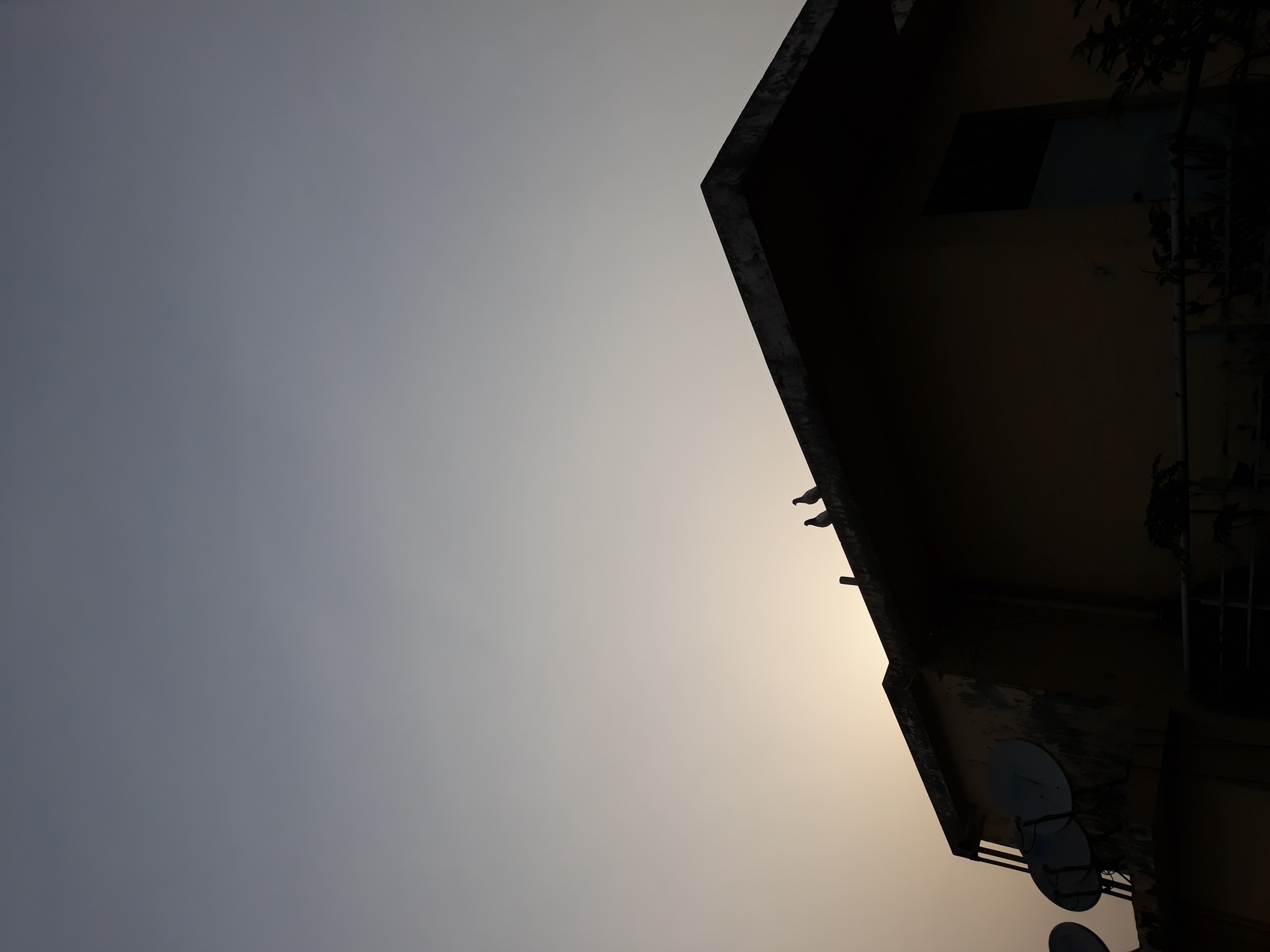 20230614_173907.jpg