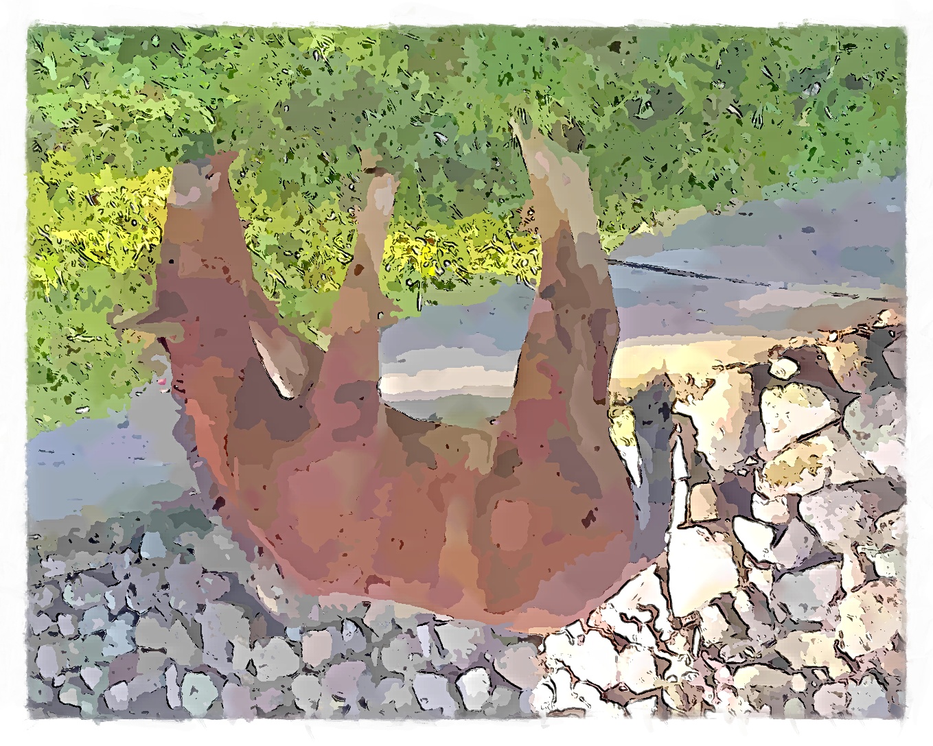 IMG_20220622_090850_566_FotoSketcher.jpg