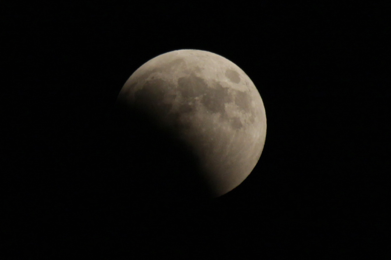 IMG_5046.JPG