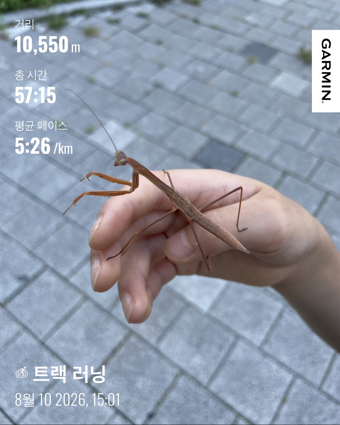 KakaoTalk_20260810_170659563_01.jpg