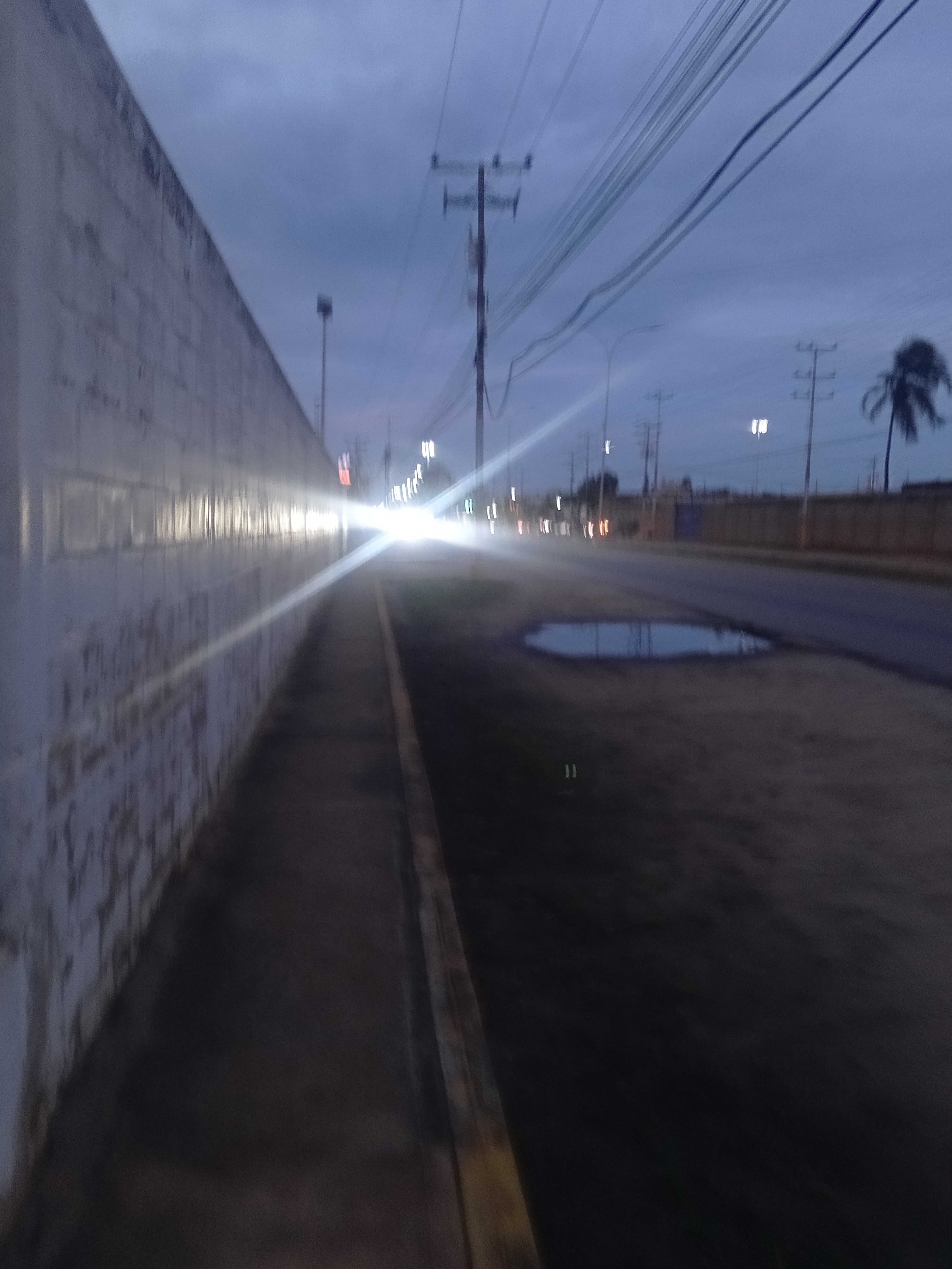 1000666421.jpg