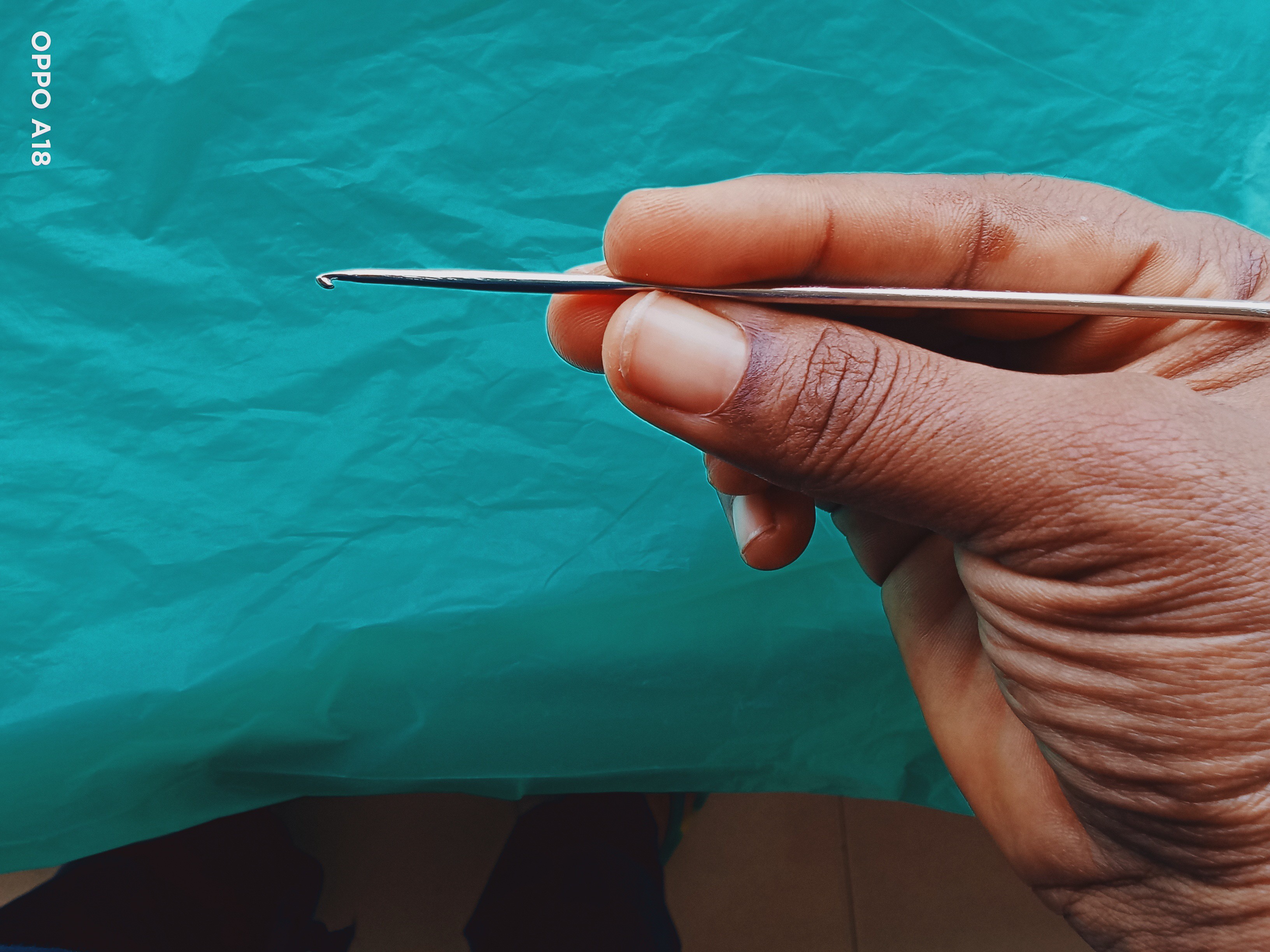 IMG20240909115955 (1).jpg