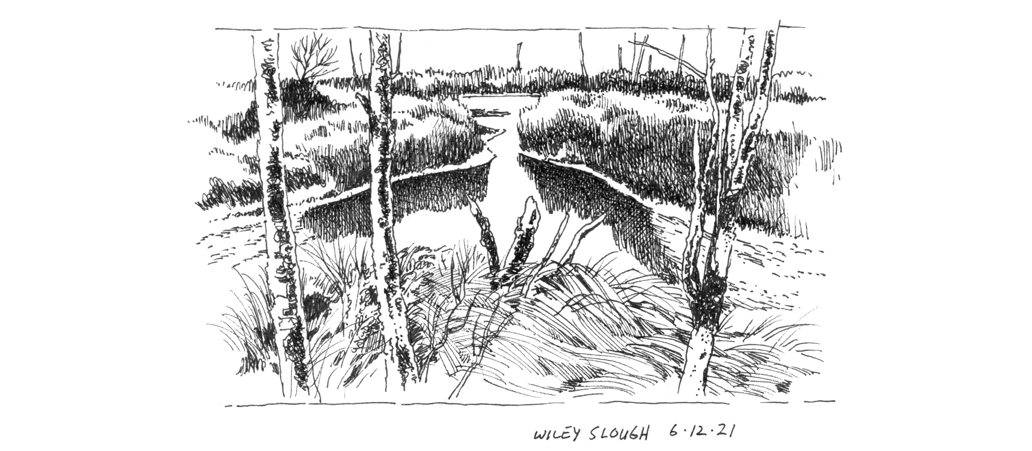 wiley-slough-blog.jpg