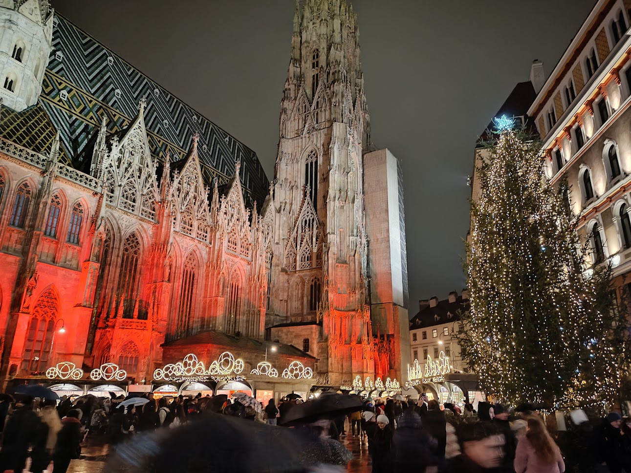 vienna.jpg