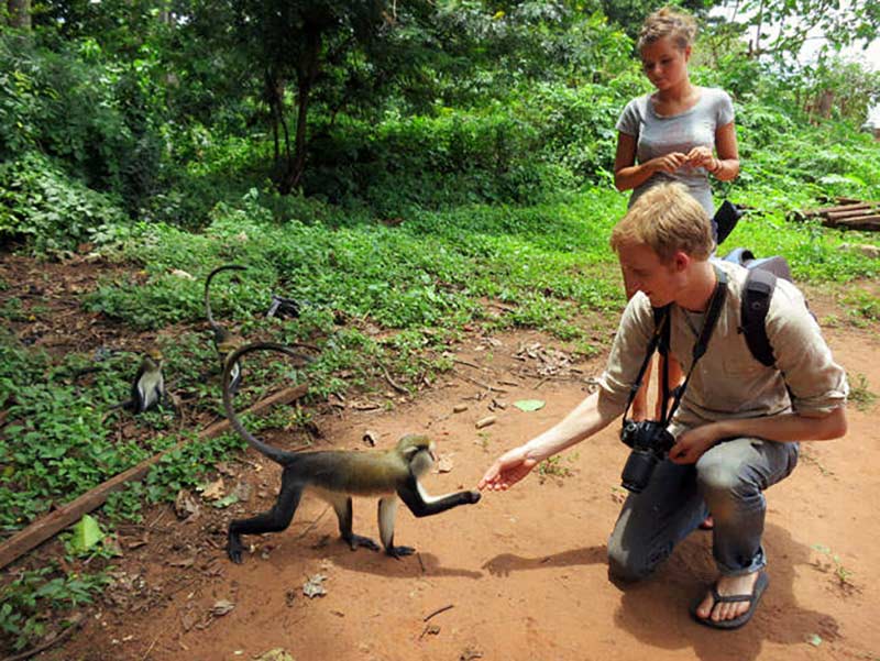 kakum-national-park-volunteer-ghana-3.jpg