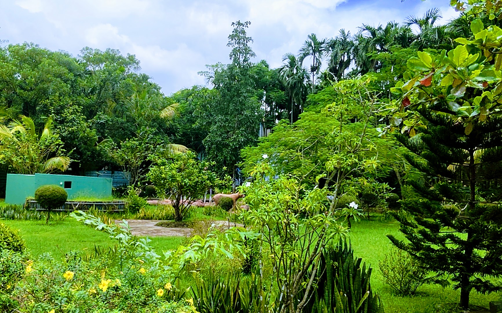 IMG20260808120140_01.jpg