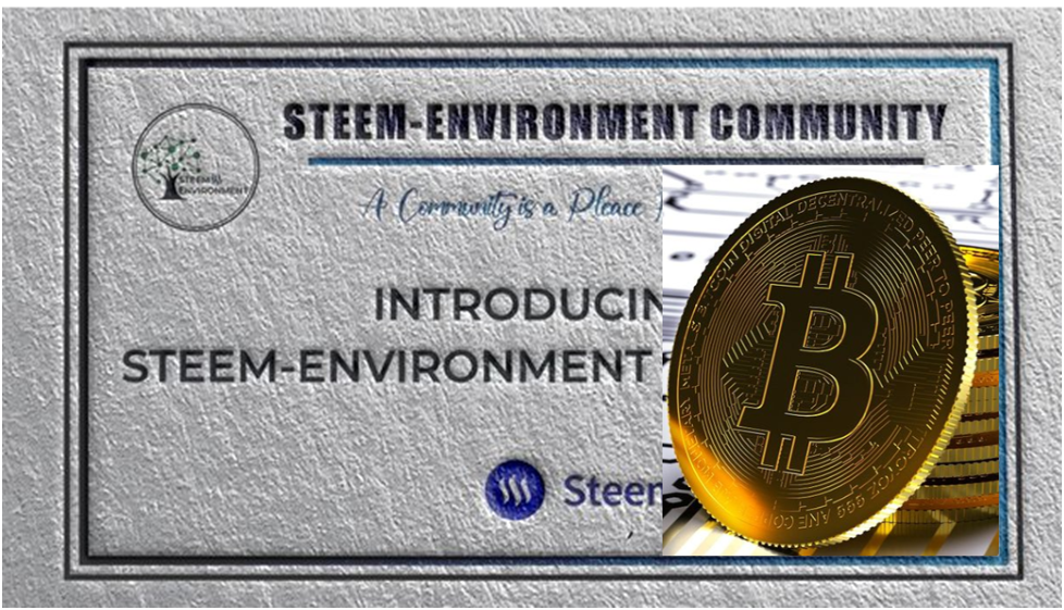 environ-bitcoin.png