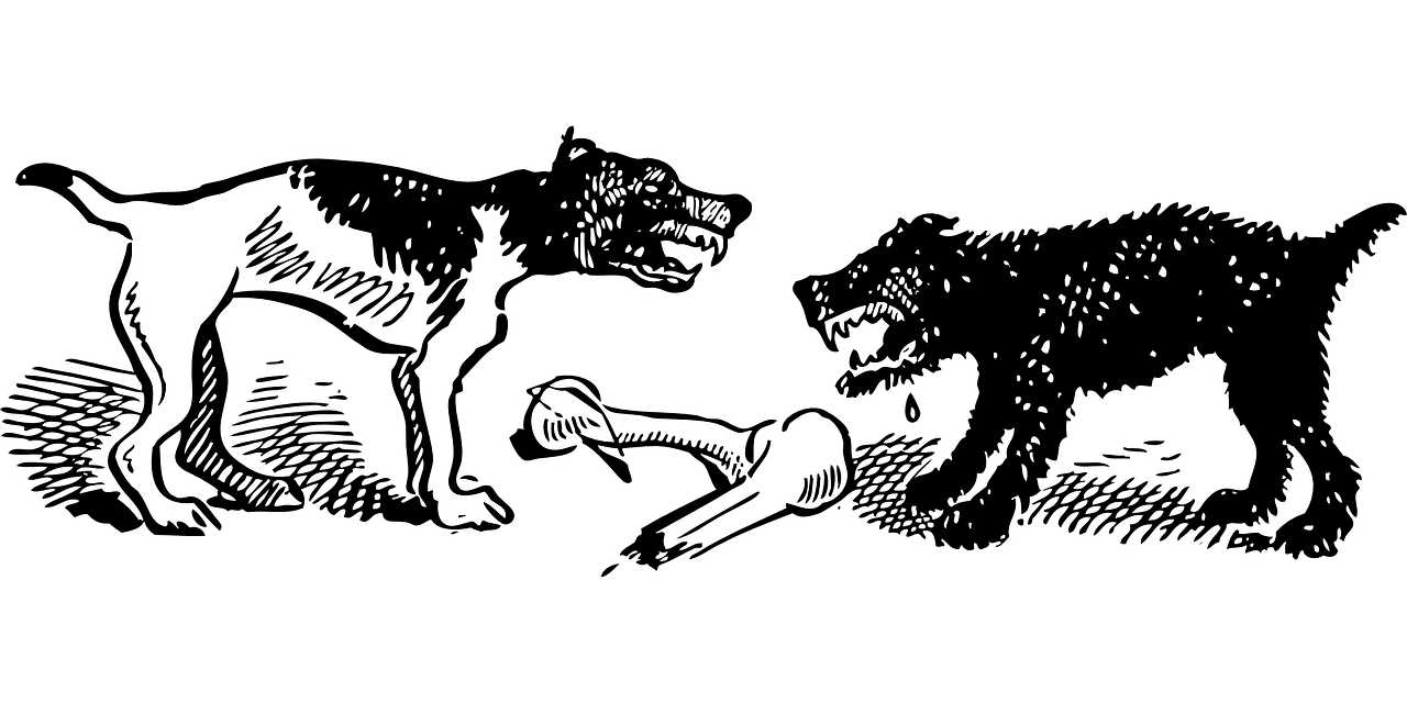 dogs-47266_1280.png