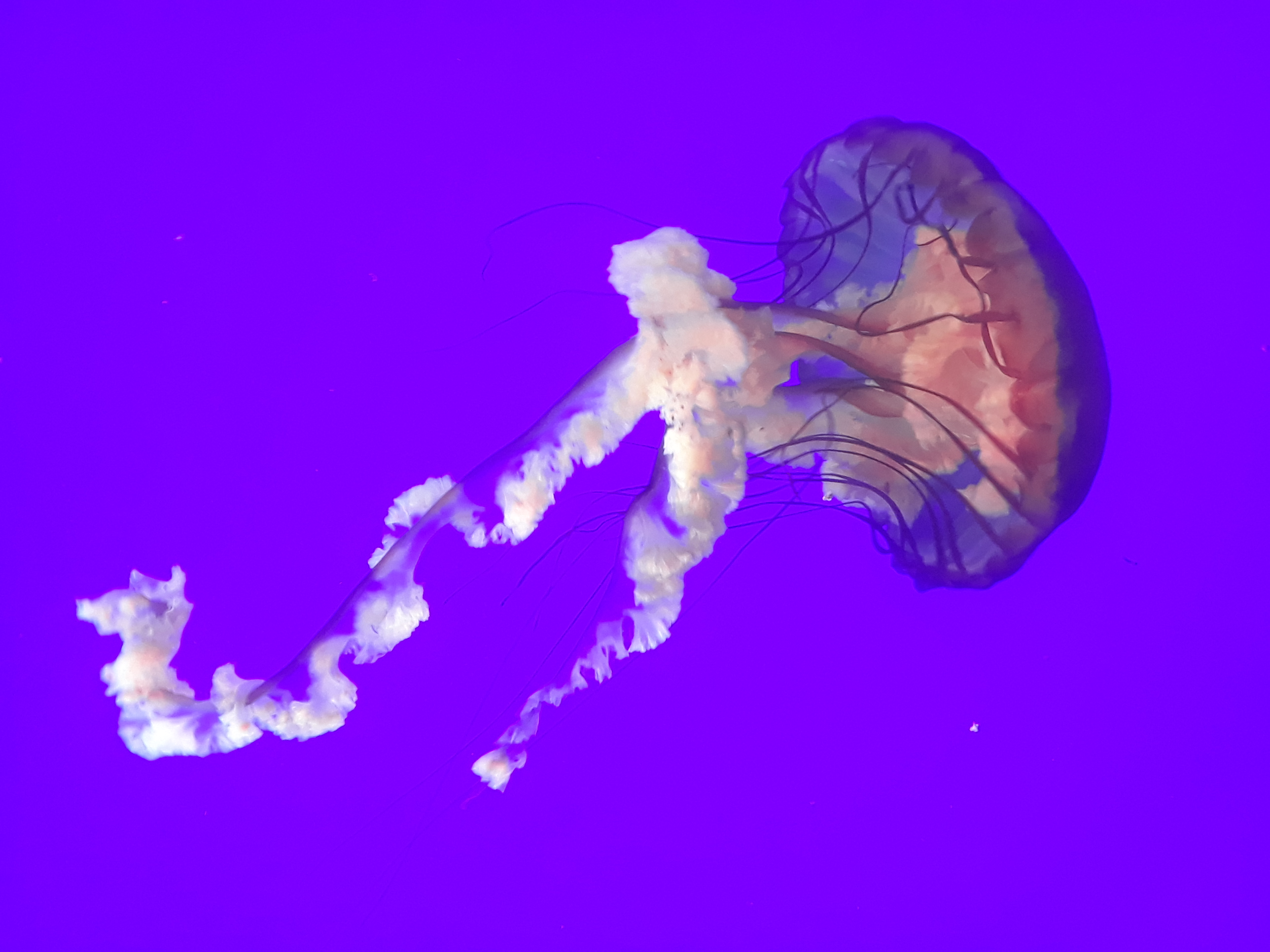 20190203_174016.jpg