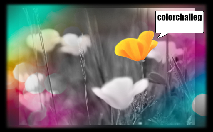 pizap (1).jpg