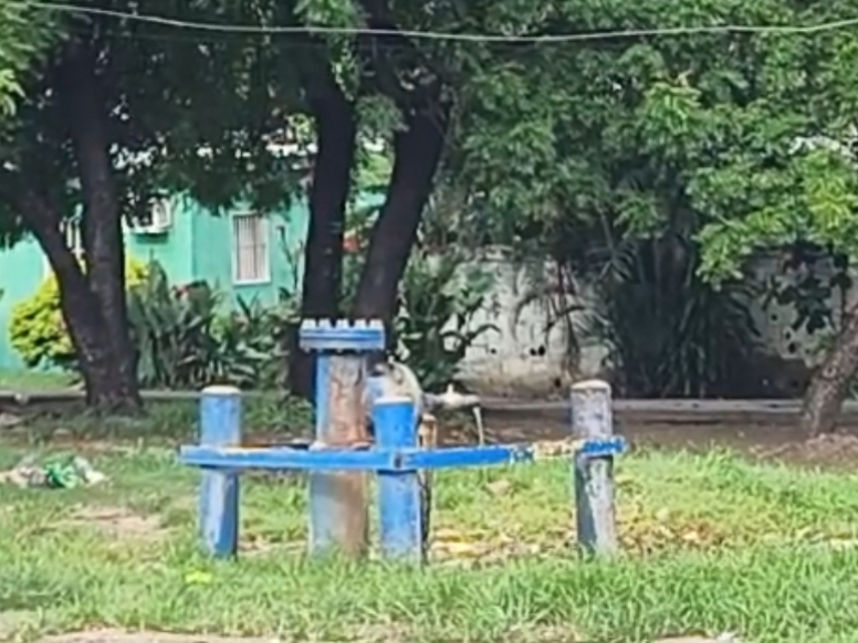 1001577811.jpg