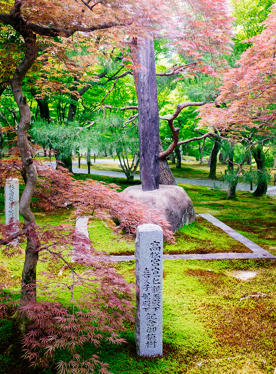 tofukuji4.jpg