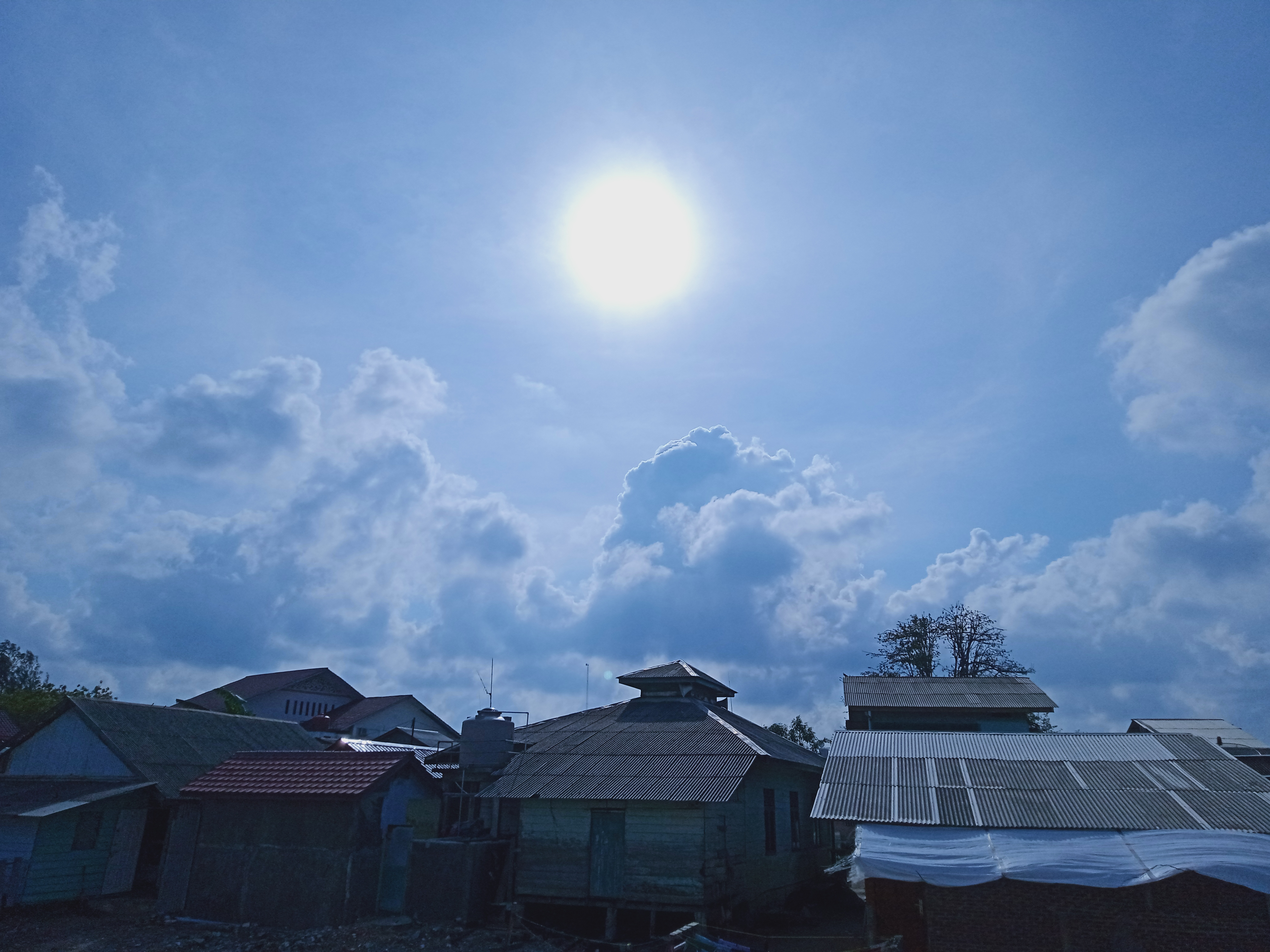 IMG20220130161230.jpg
