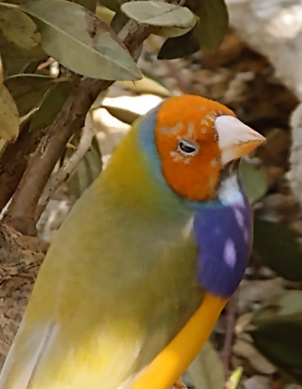 image.png