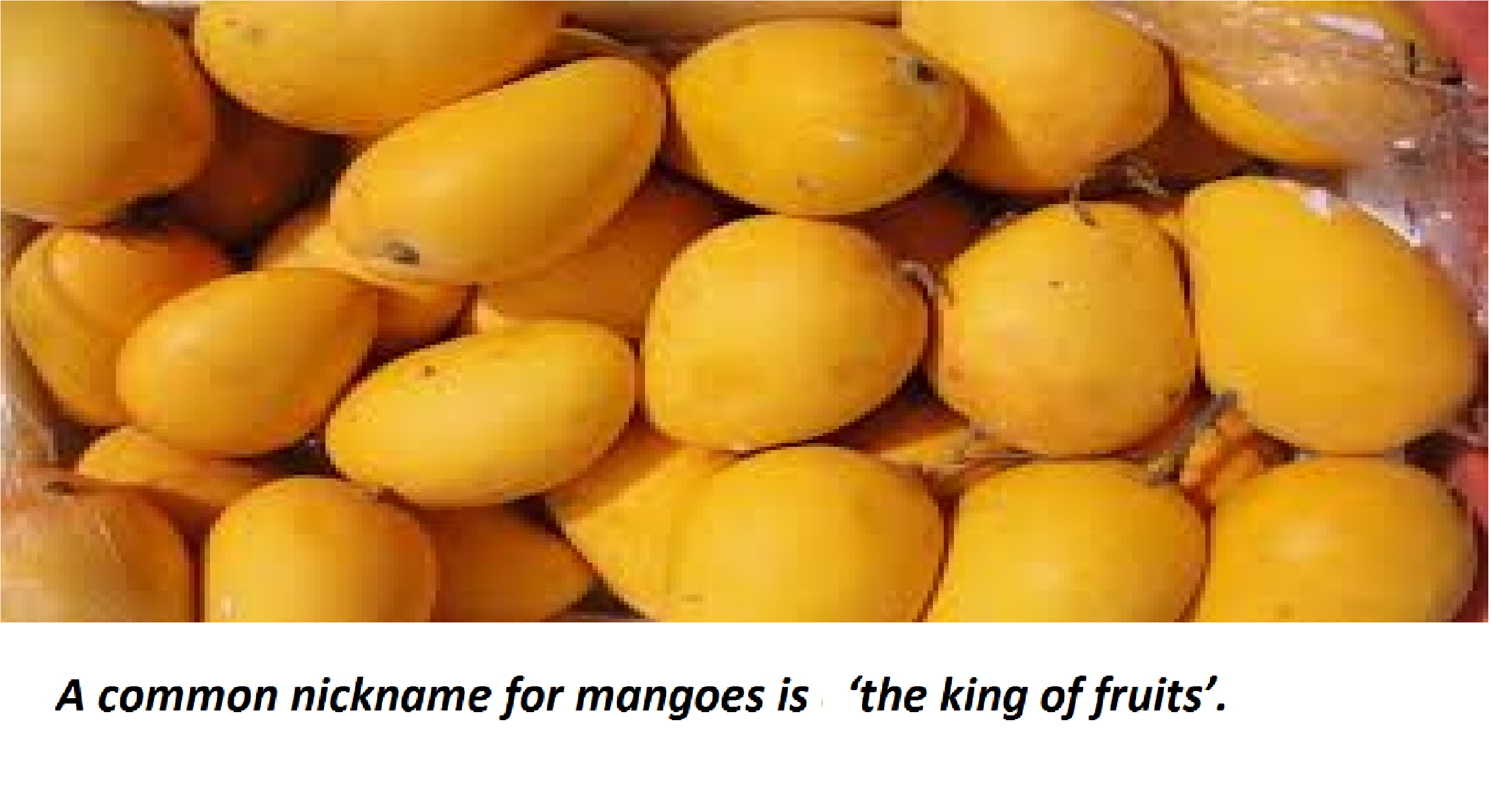 mango.png