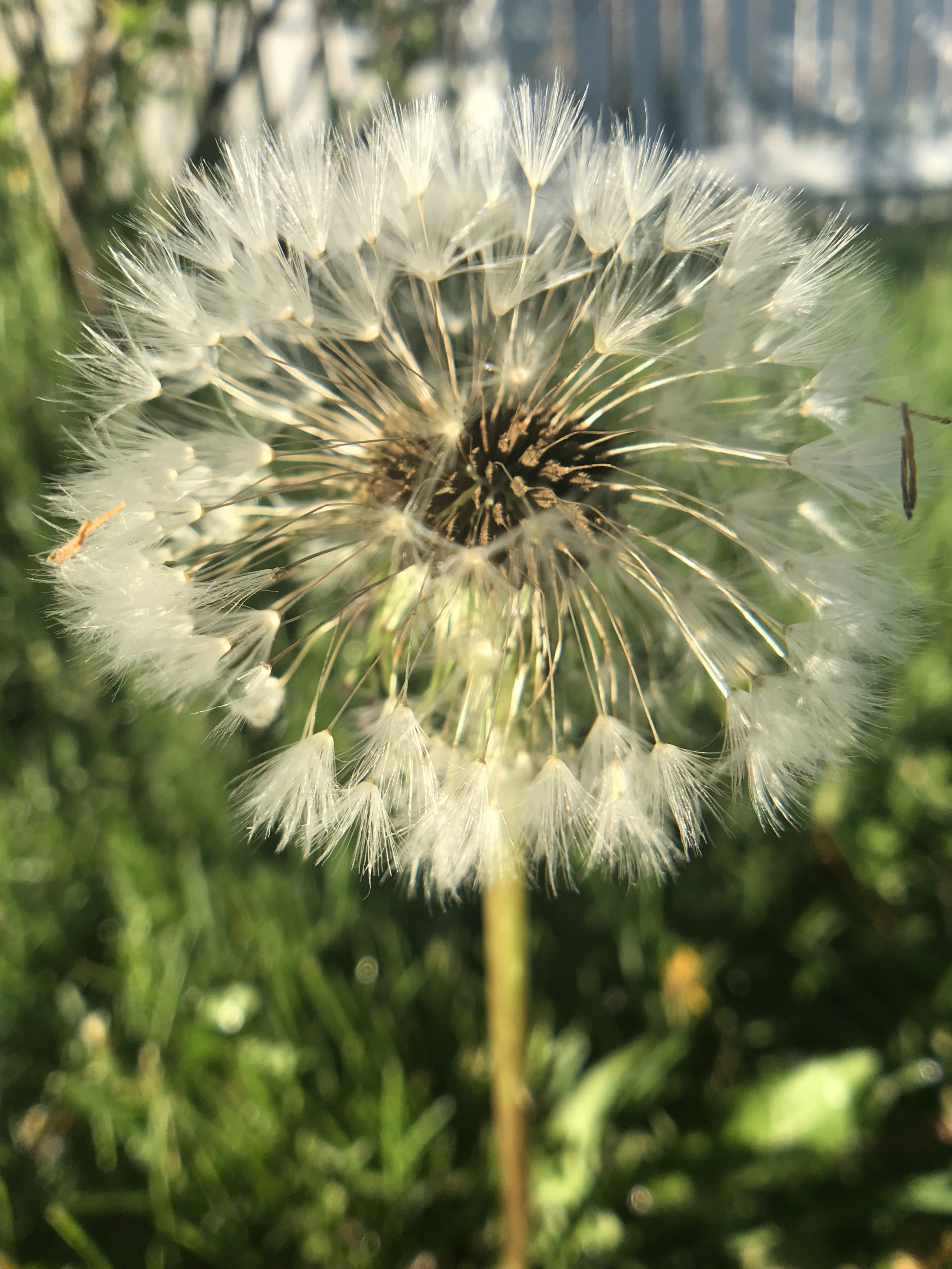5E879344-4FC8-4F5E-B5E3-E149D8D7A909.jpeg