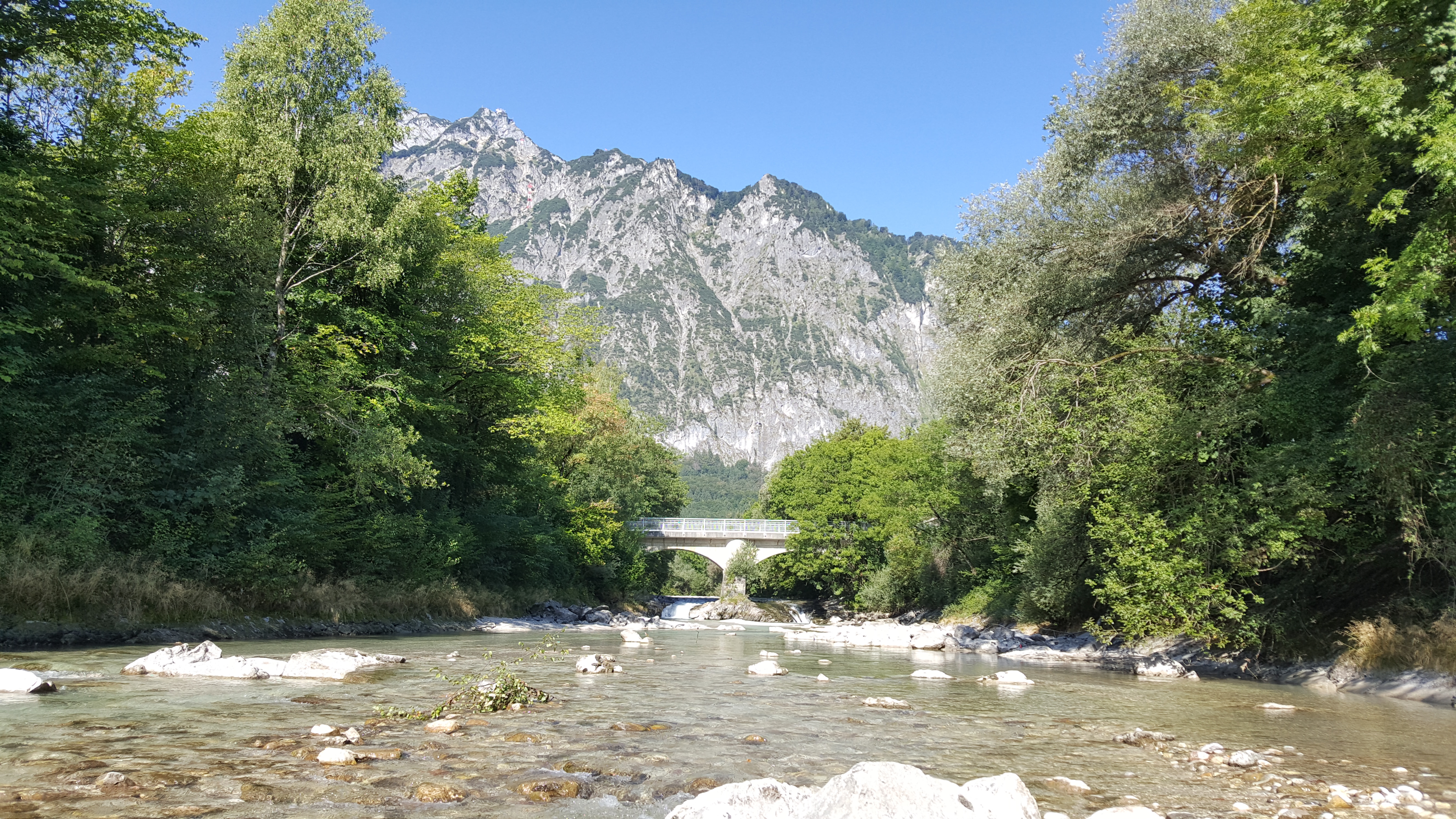 20180813_094654.jpg