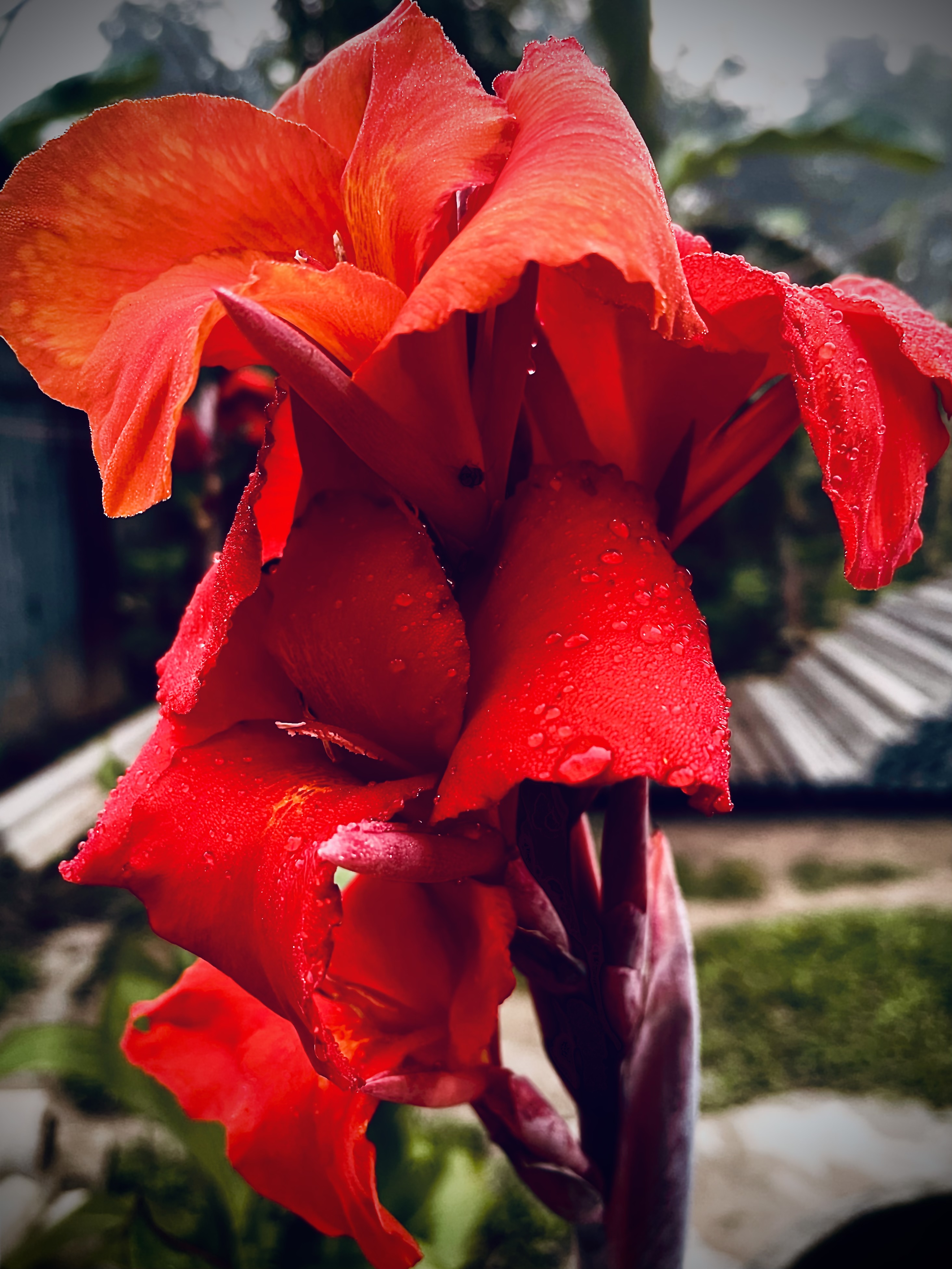 0C2F0B85-B7FF-4EBF-A66F-2412A6F1CA9D.jpeg